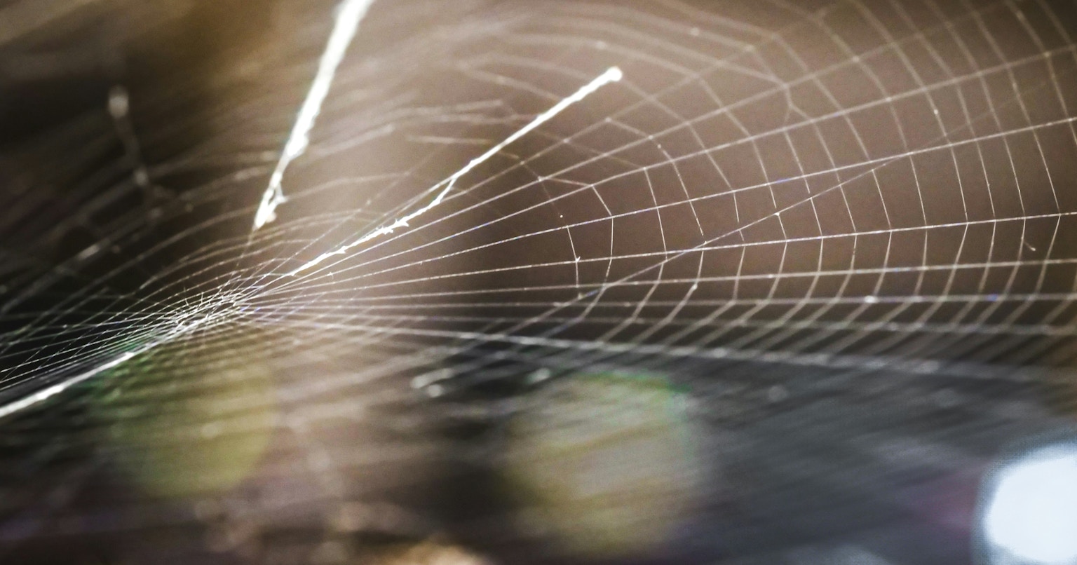 2025-12-structure-and-chaos-cover-image