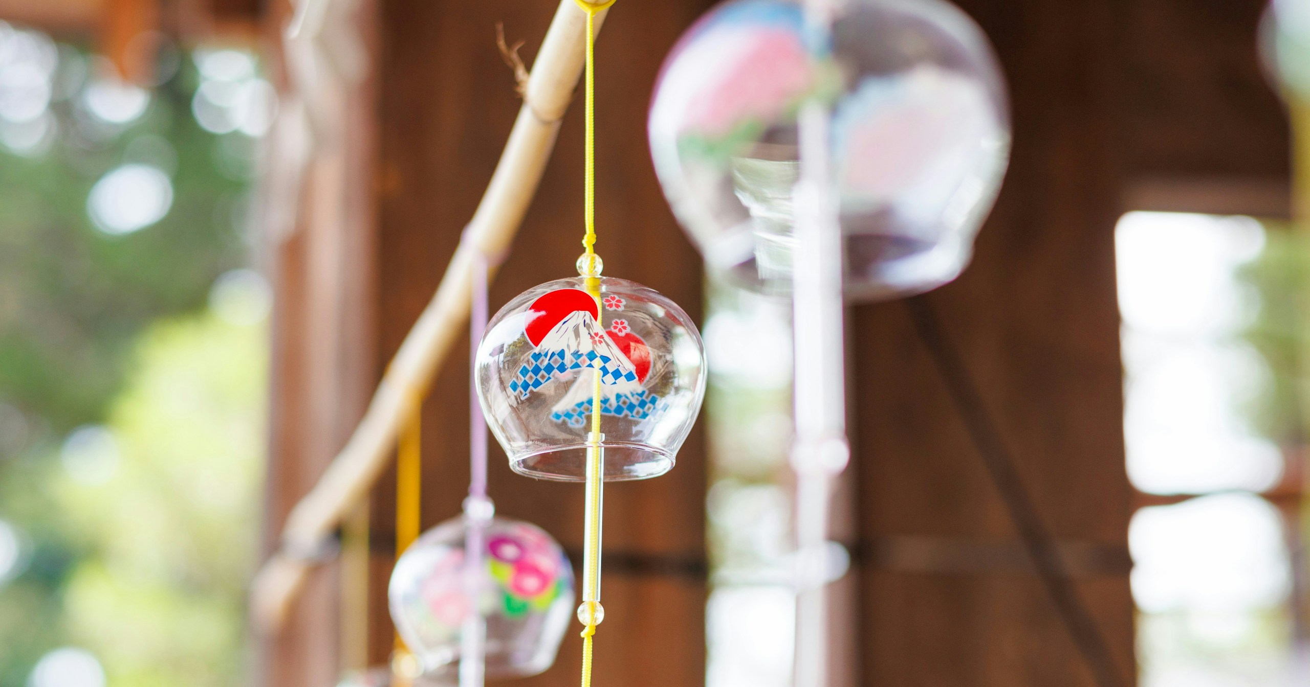 #Early Summer | Refreshing and Summery Photos | Focus #492