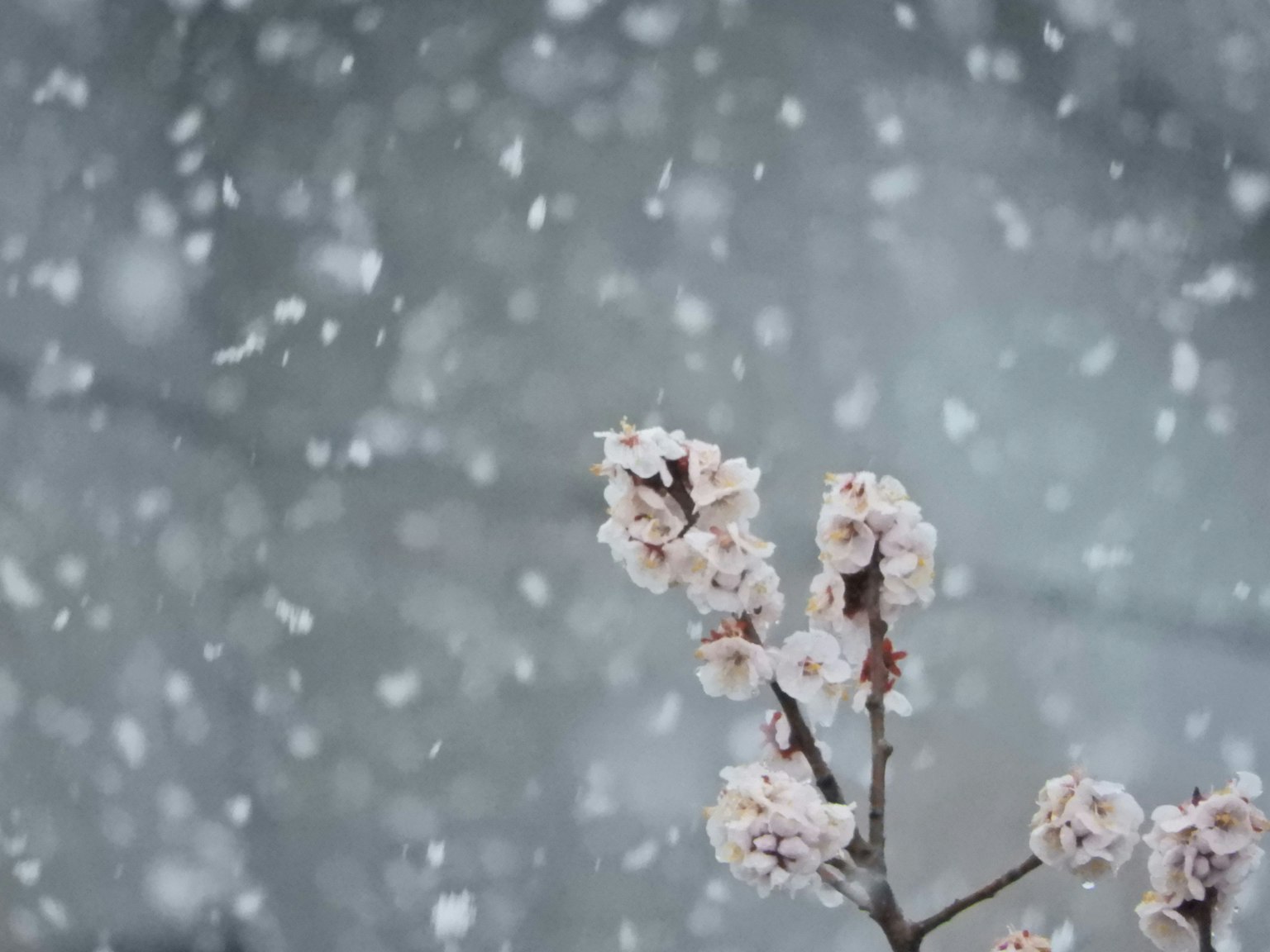 2025-03-photo-contest-pr-2-image-4