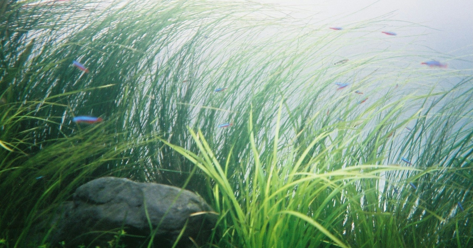 2025-02-pick-up-photos-no-49-53-cover-image