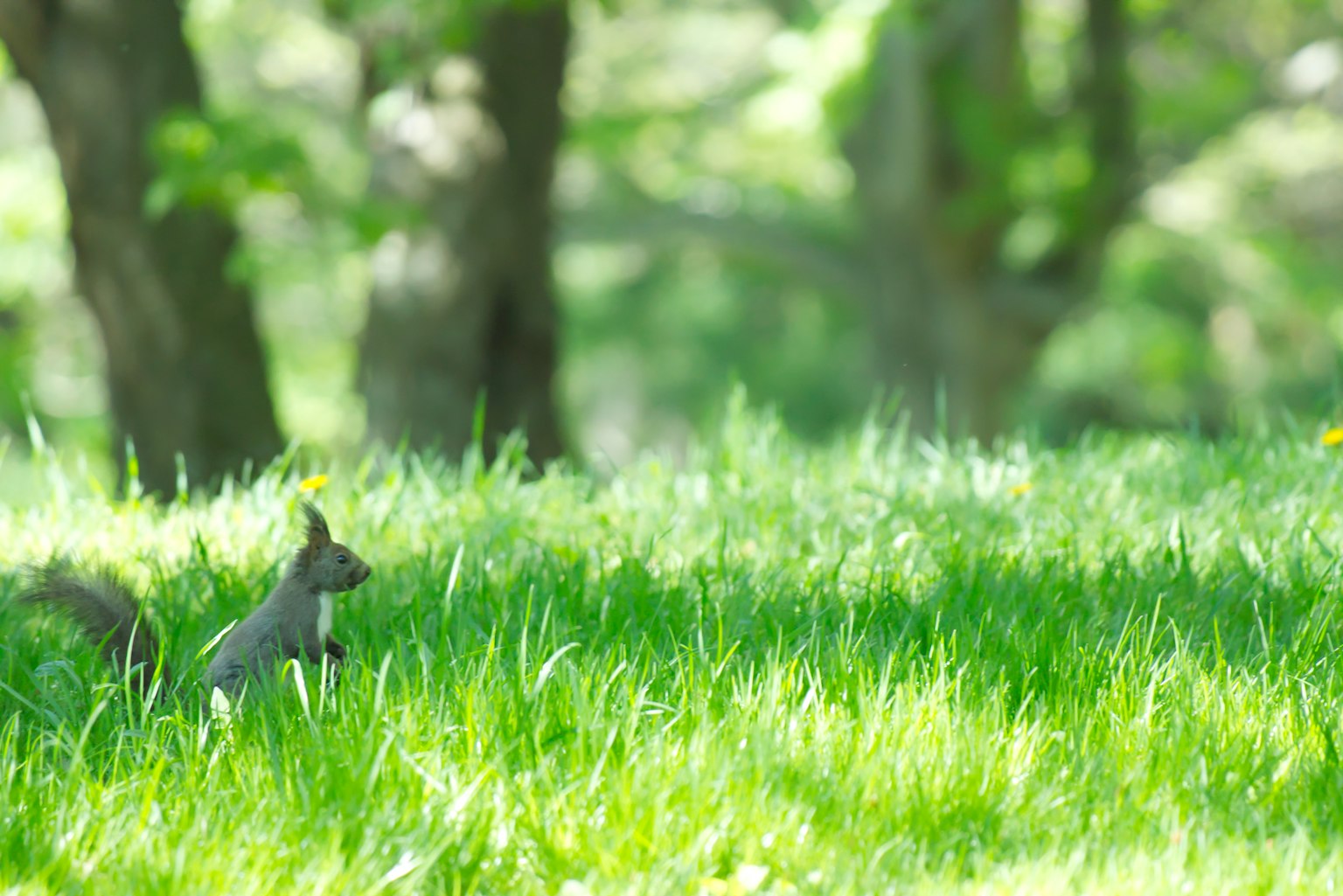 2024-05-good-days-image-9