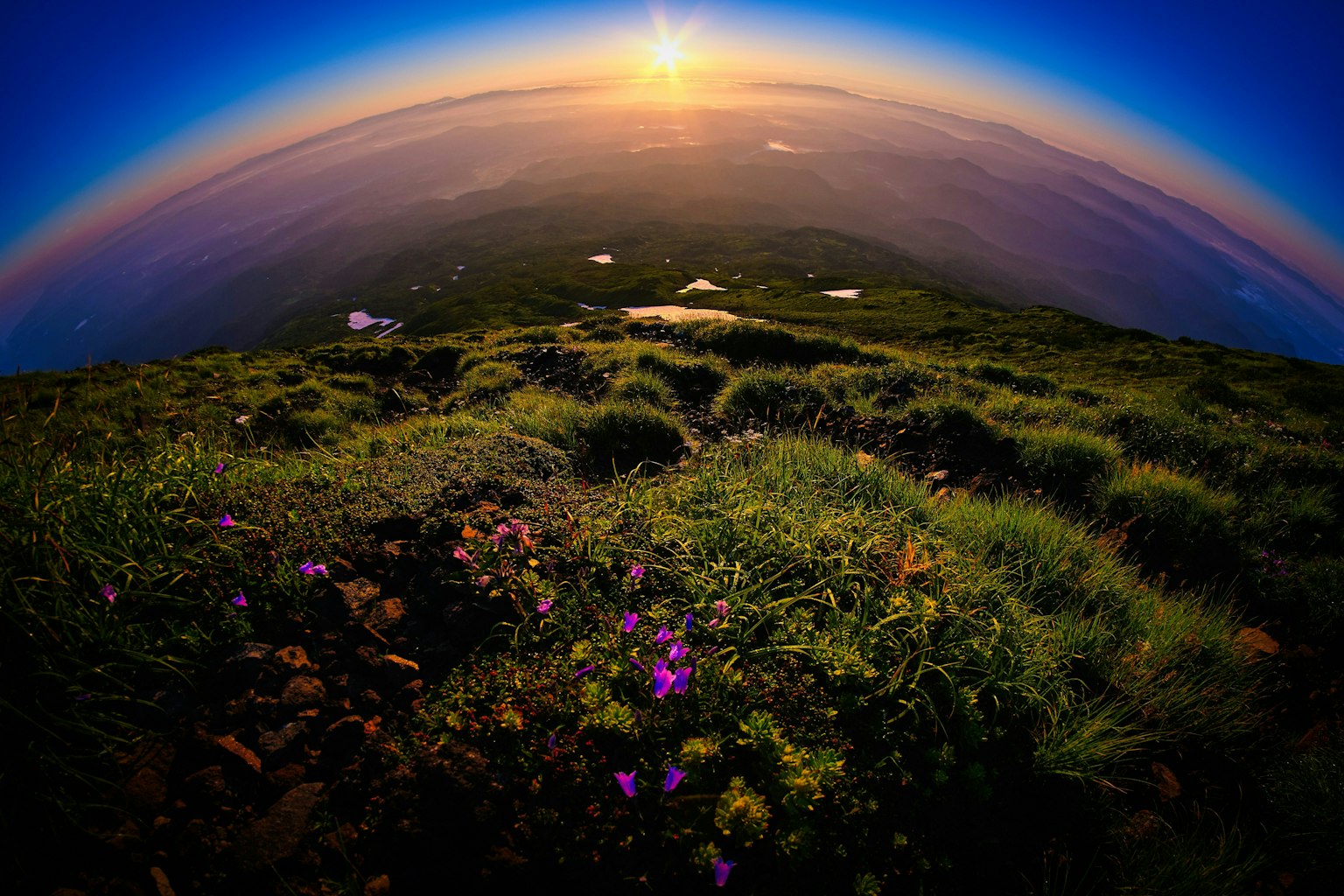 2025-05-from-morning-to-morning-image-10
