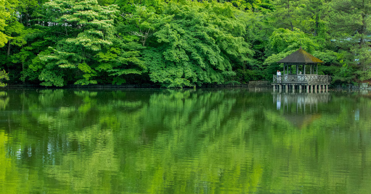 Die Tür zur umgekehrten Welt öffnen: Magische Momente mit Reflexionsfotografie | Knowledge #262