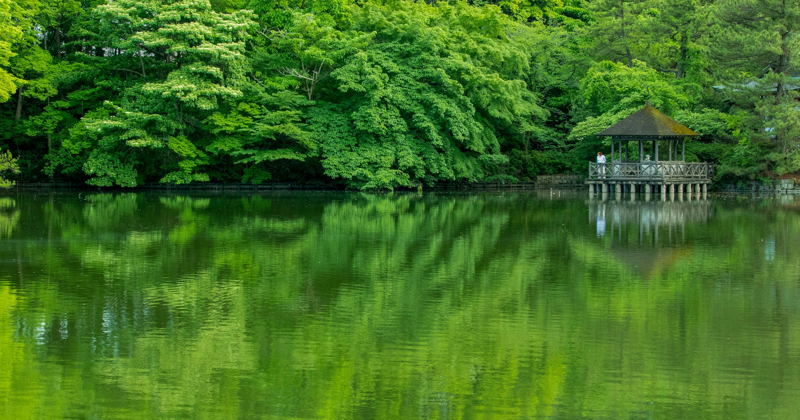 Die Tür zur umgekehrten Welt öffnen: Magische Momente mit Reflexionsfotografie | Knowledge #262