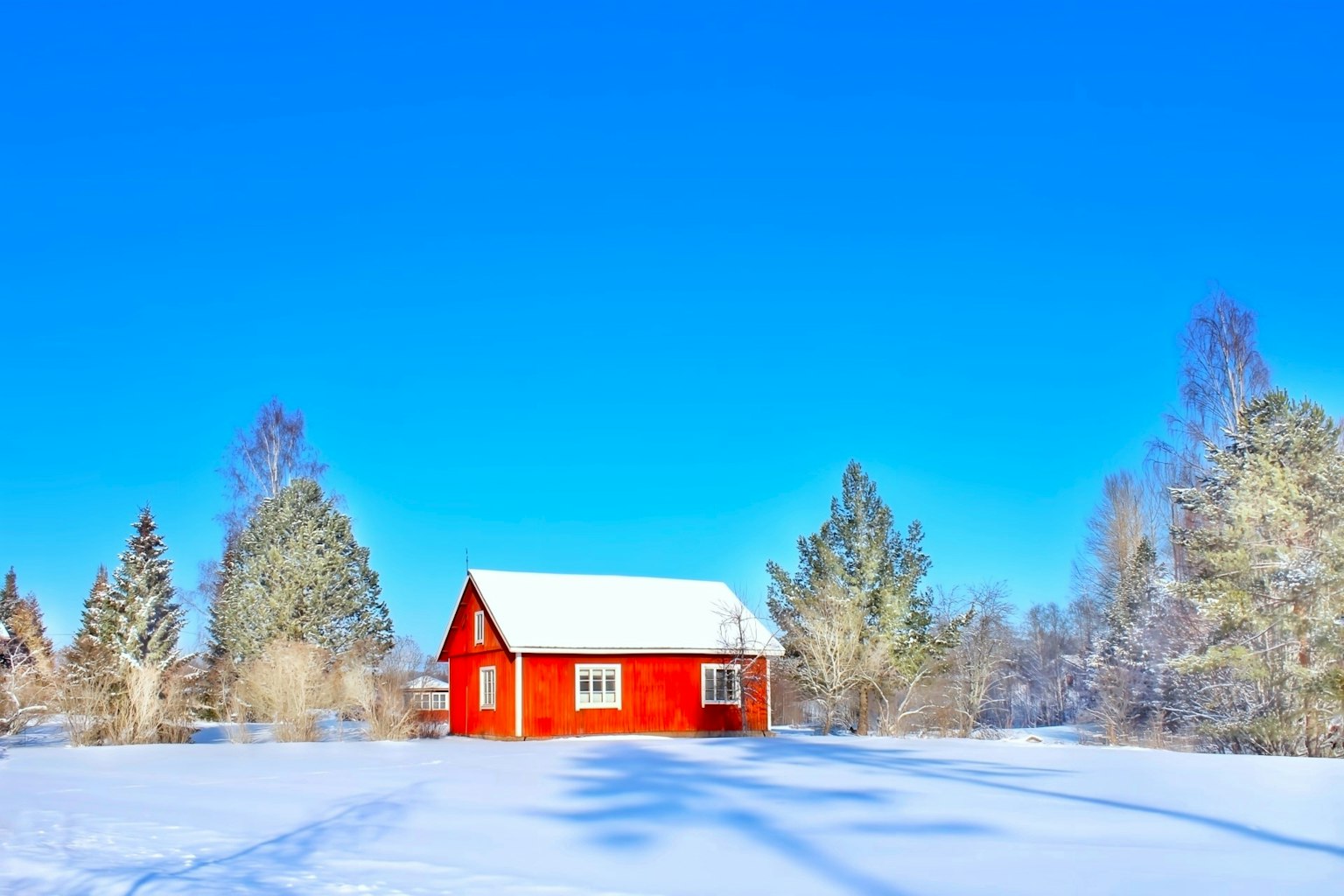 2024-04-daily-palette-award-image-8