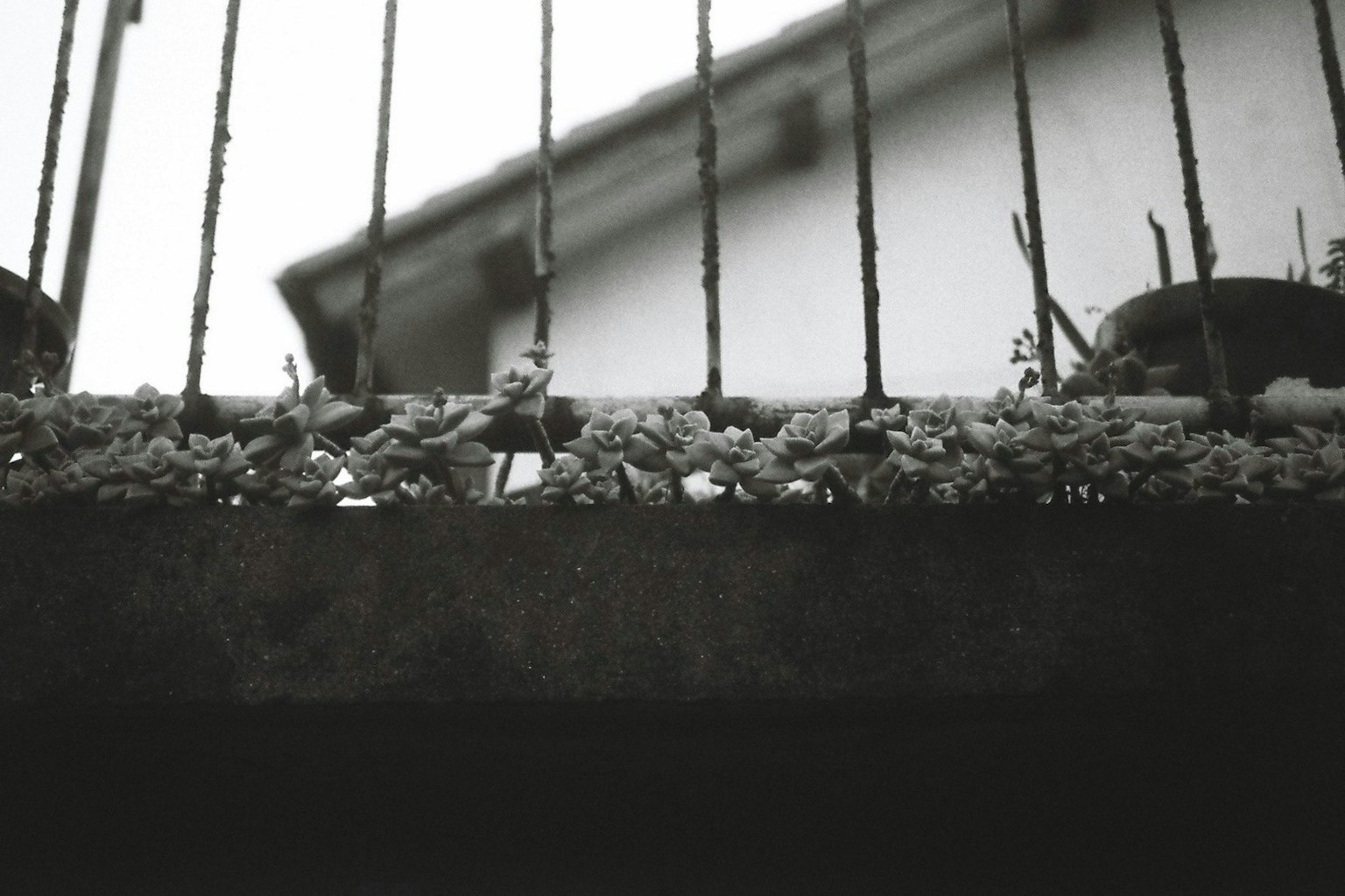 2025-11-roadside-story-award-image-15