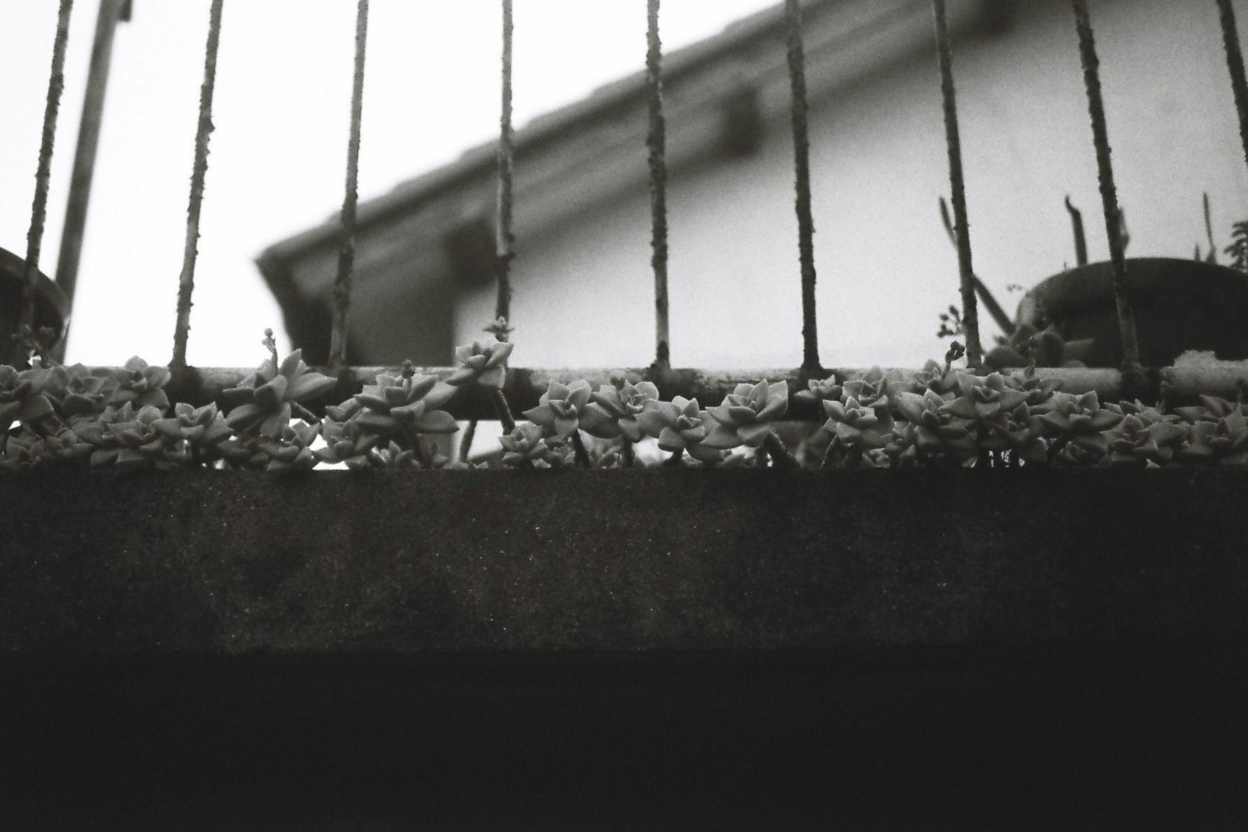 2025-11-roadside-story-award-image-15