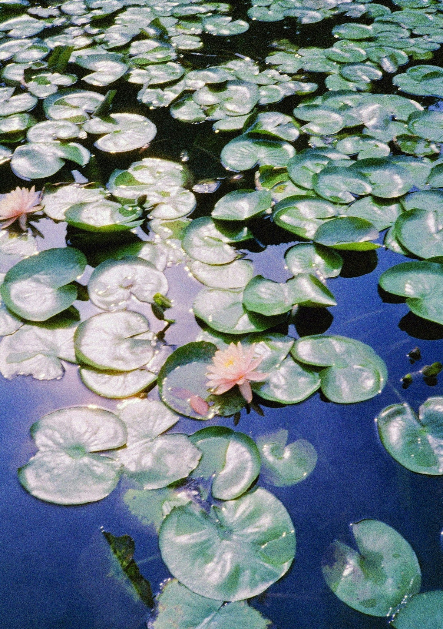 2026-07-find-new-pieces-film-image-12