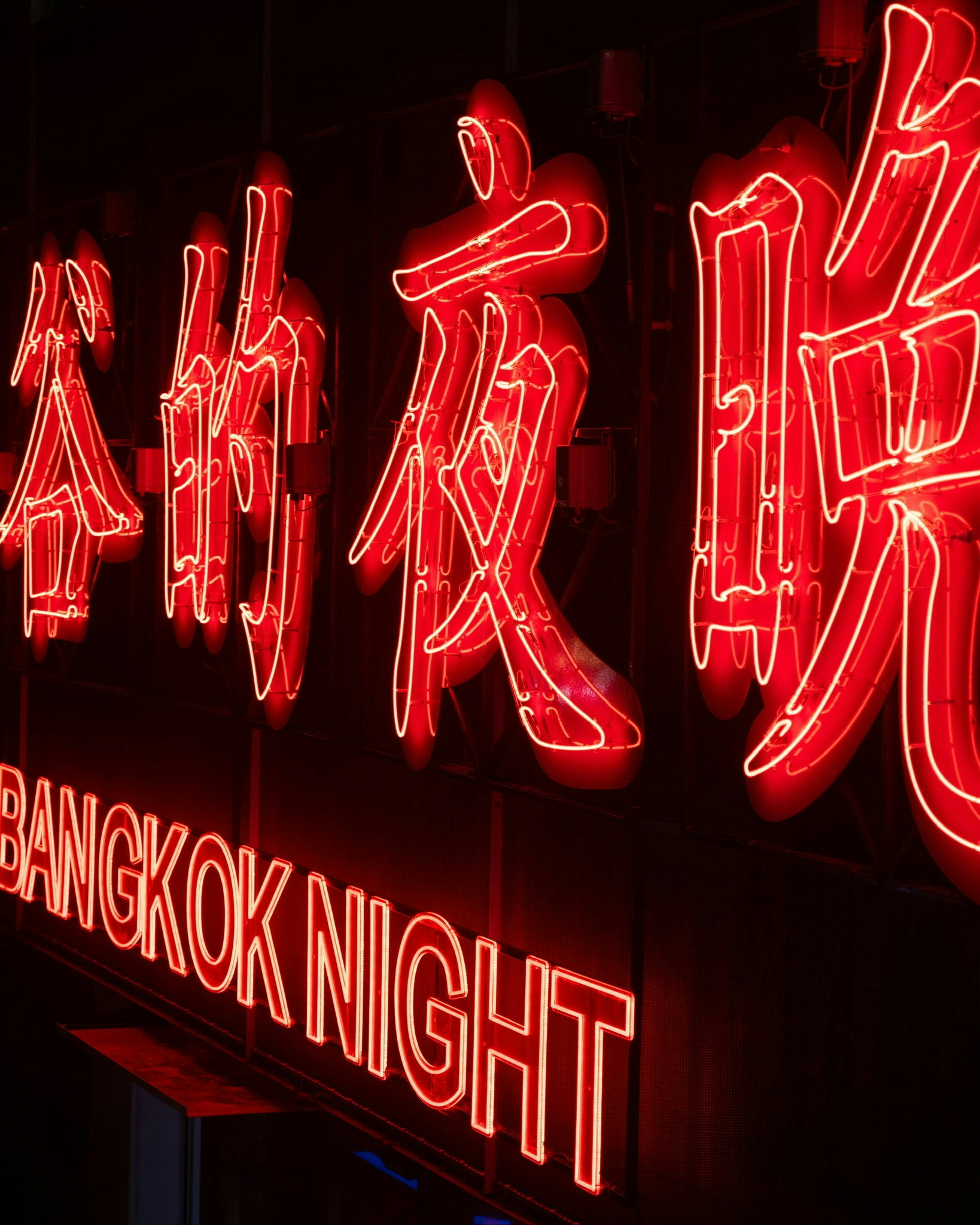 2025-08-allure-of-neonsigns-image-2