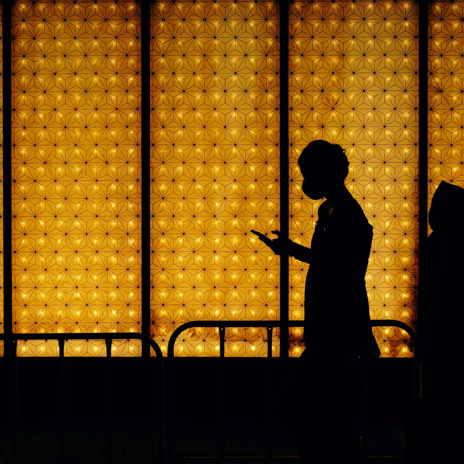 2025-05-photo-poster-project-in-tokyo-may-cover-image