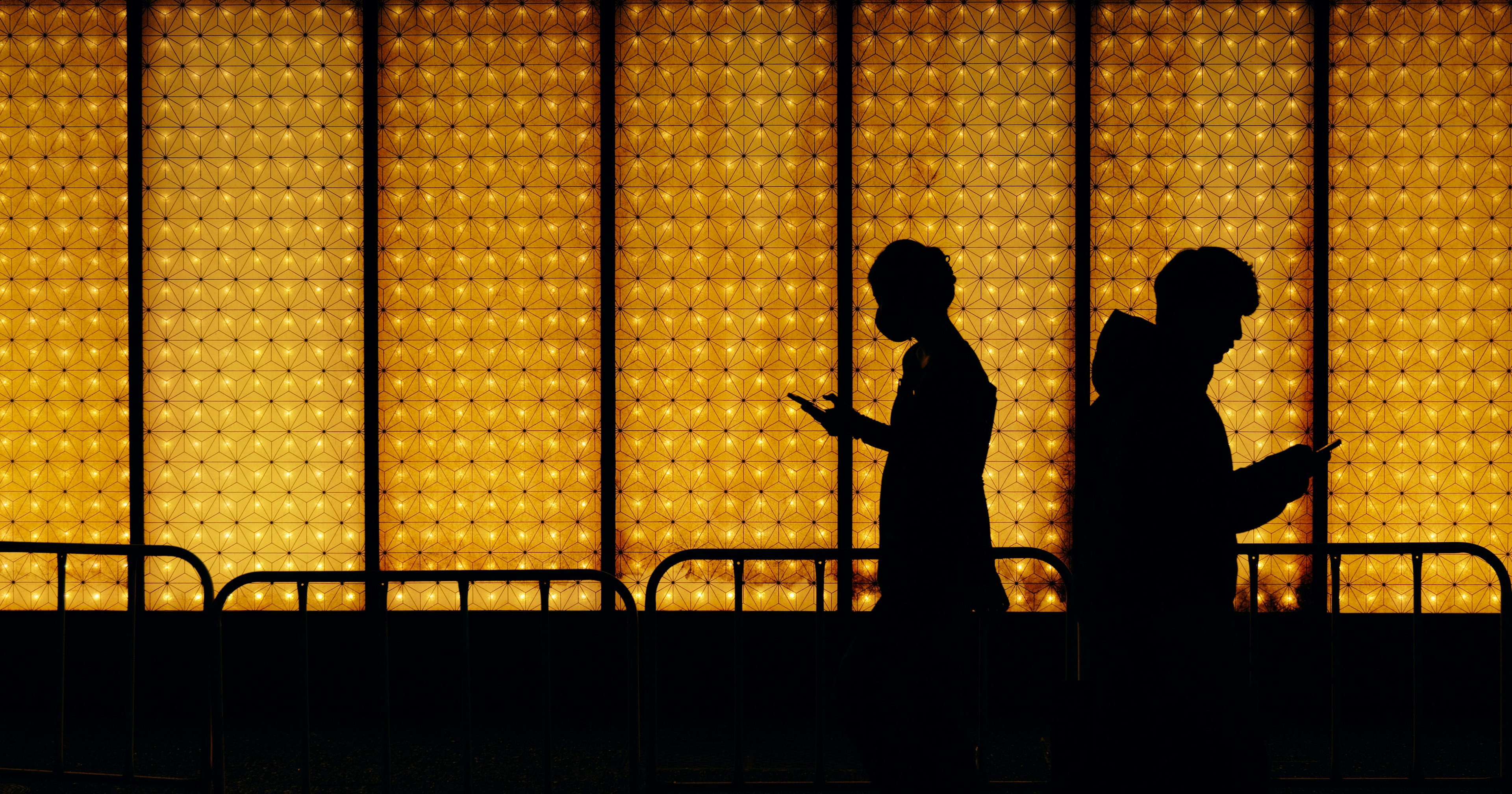 2025-05-photo-poster-project-in-tokyo-may-cover-image