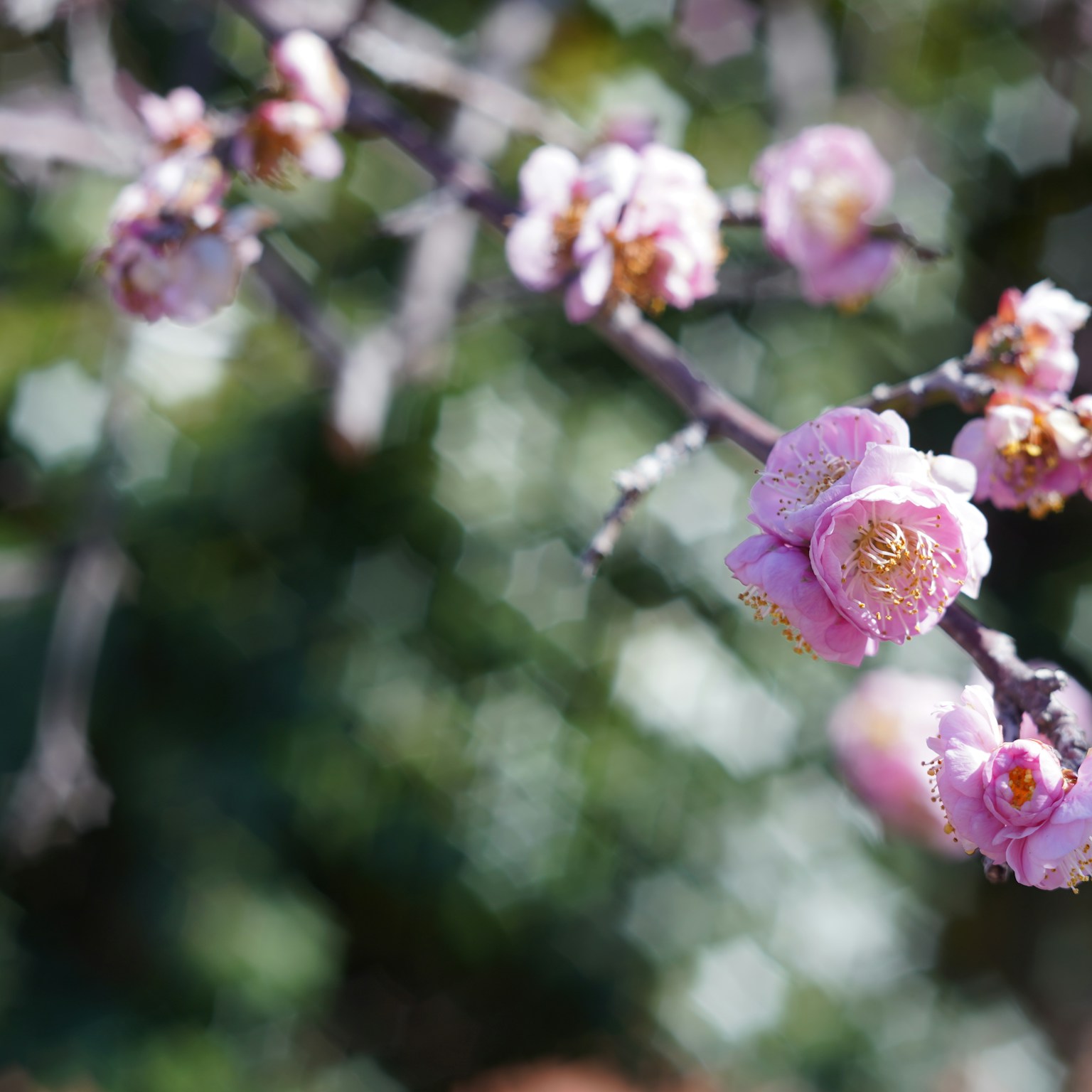 2024-05-f-and-aperture-cover-image