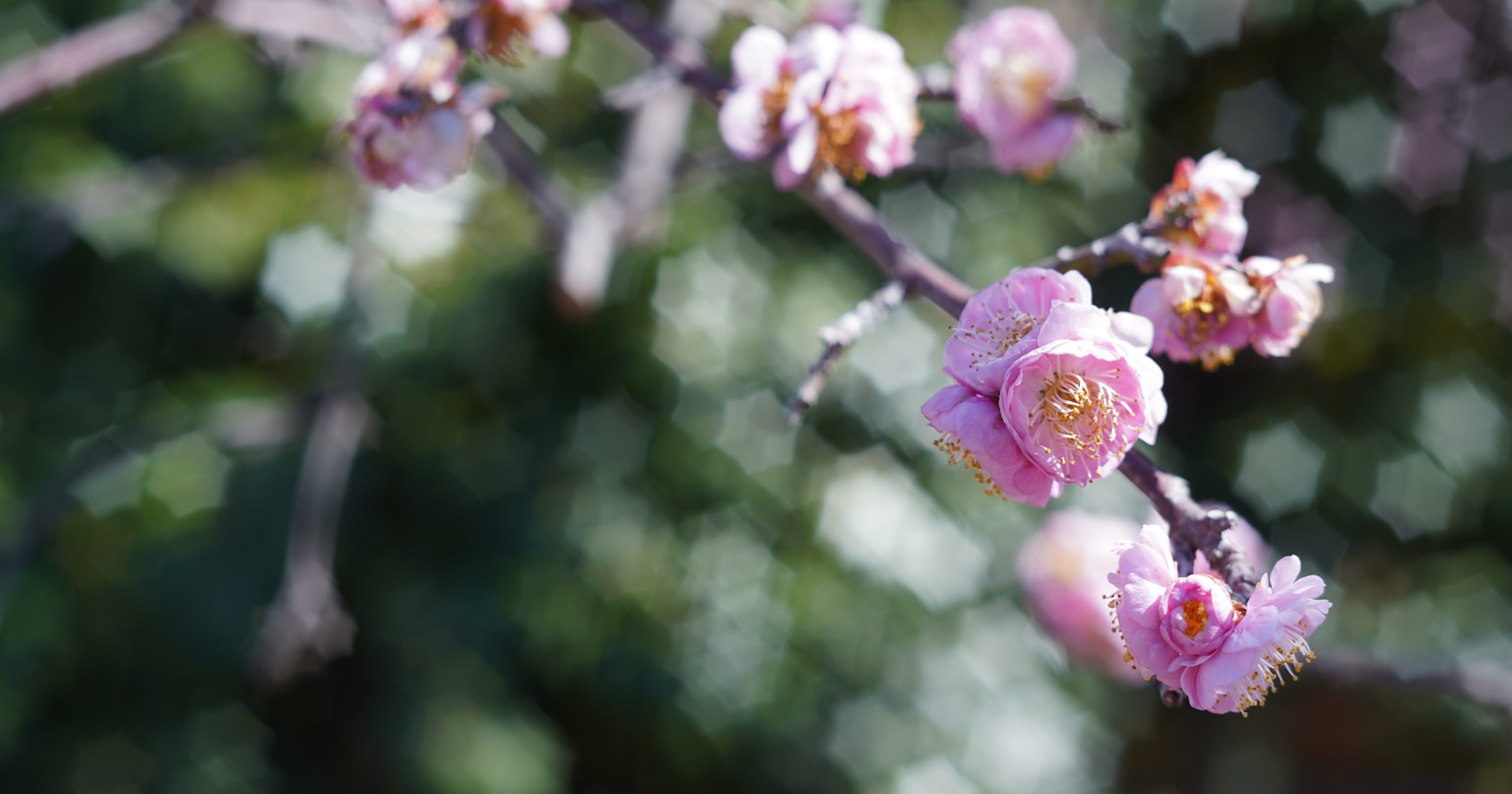 2024-05-f-and-aperture-cover-image