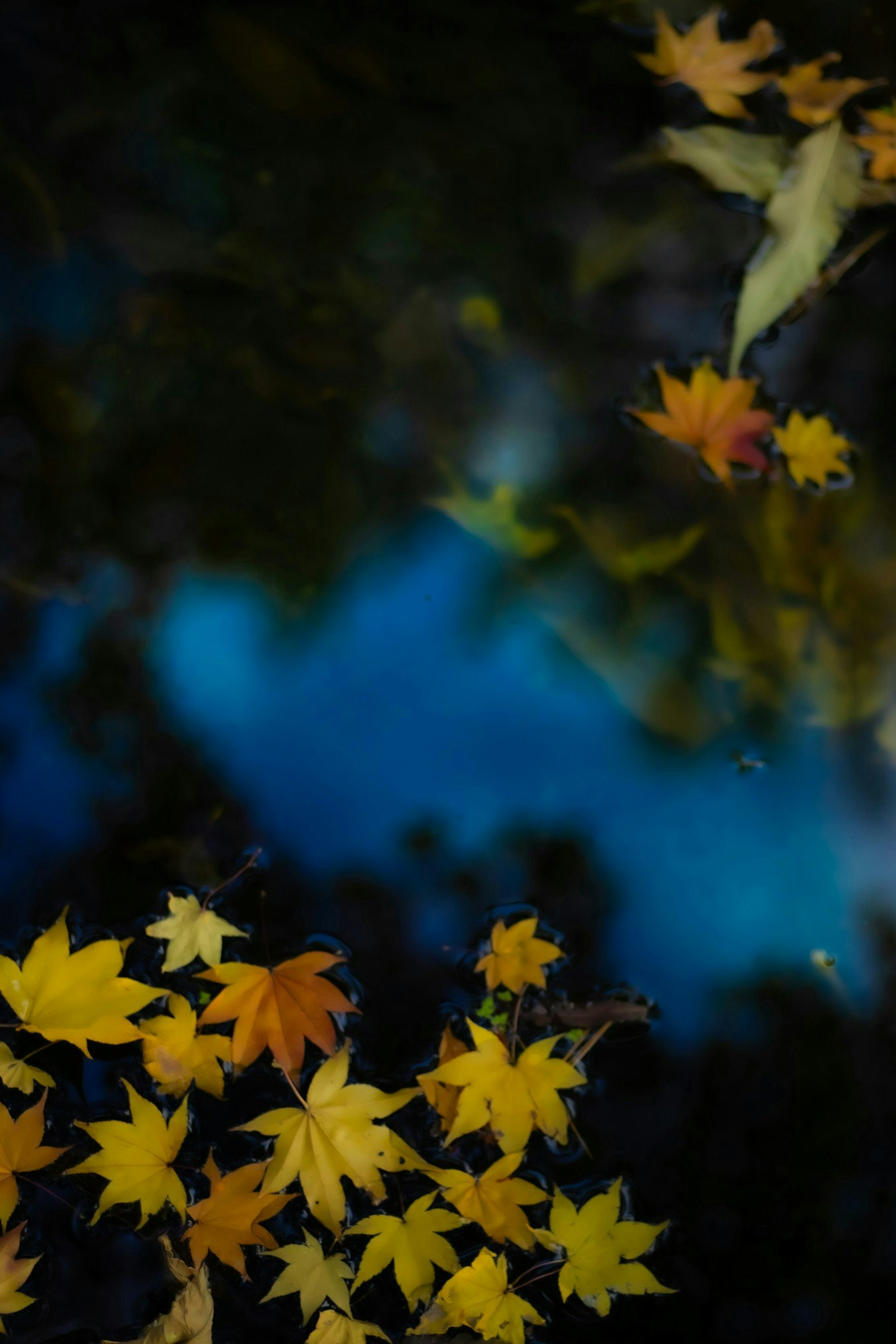 2025-11-pick-up-photos-no-244-248-image-3