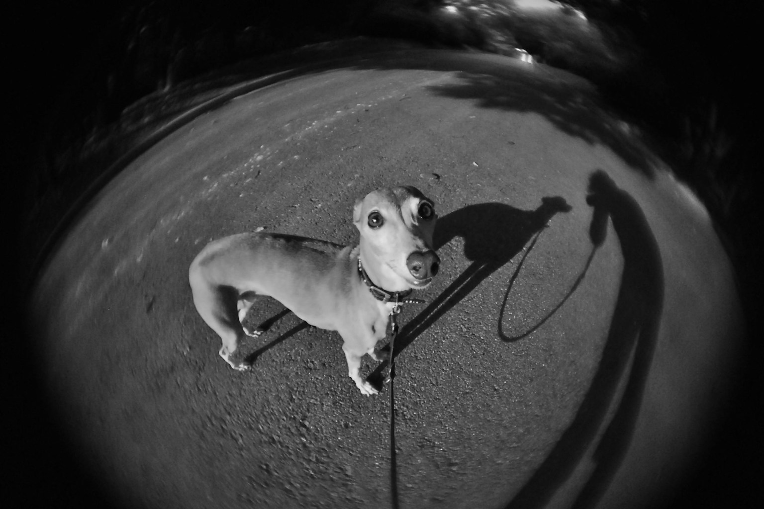 2025-12-parks-vibes-award-image-15