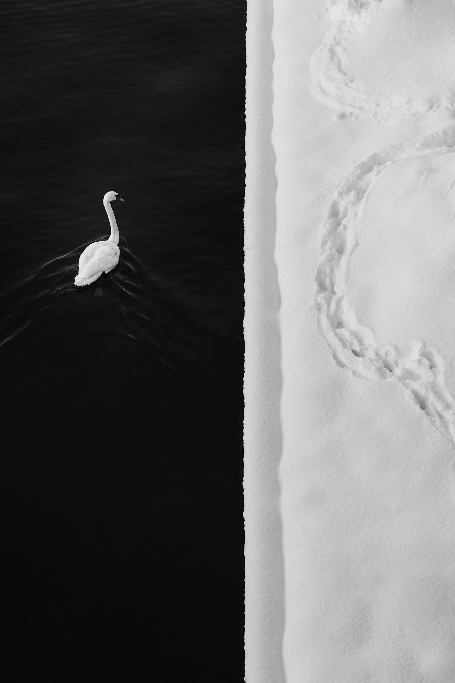 2026-06-find-new-pieces-negative-space-image-10
