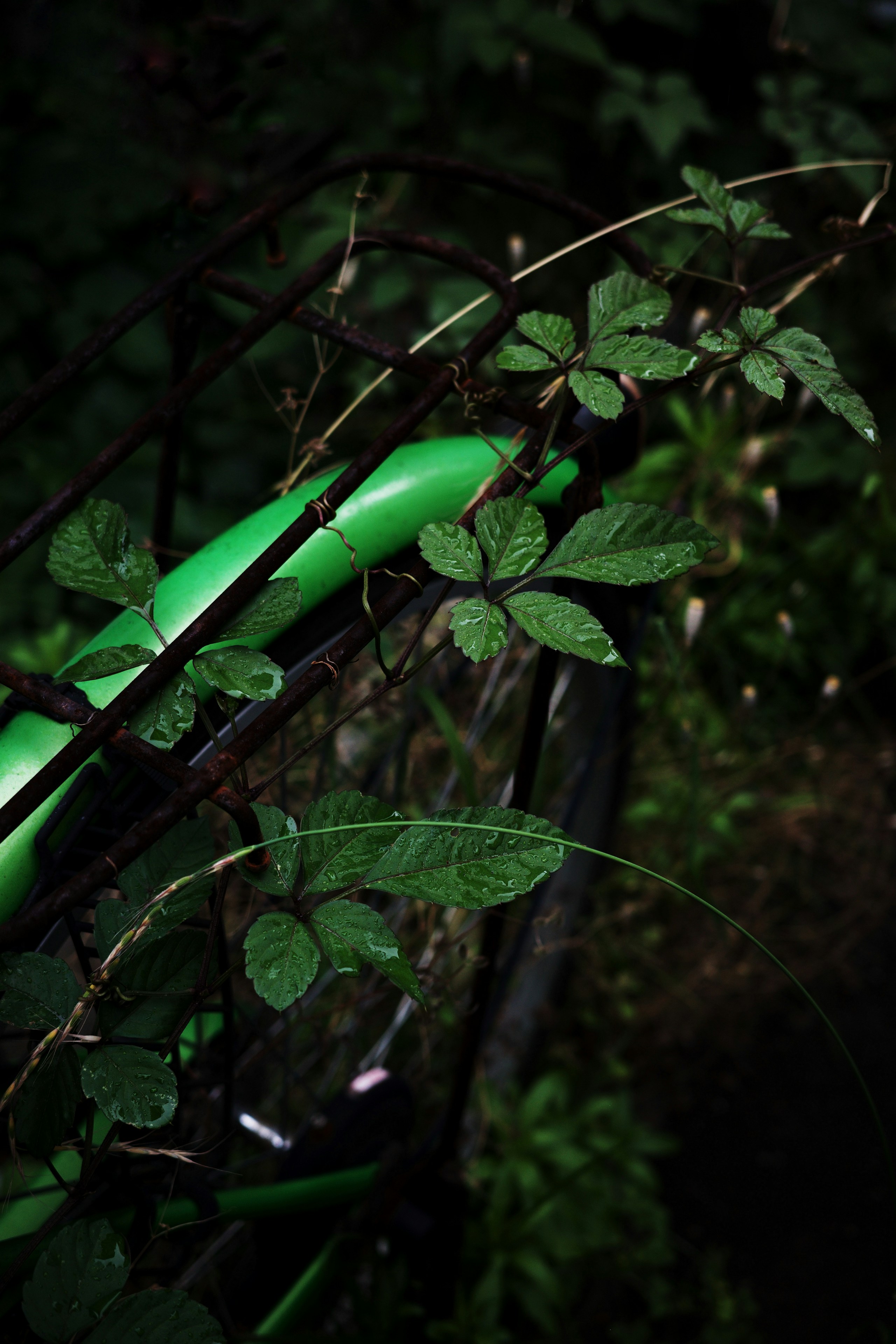 Image by Yukihiro | HDR mode Off