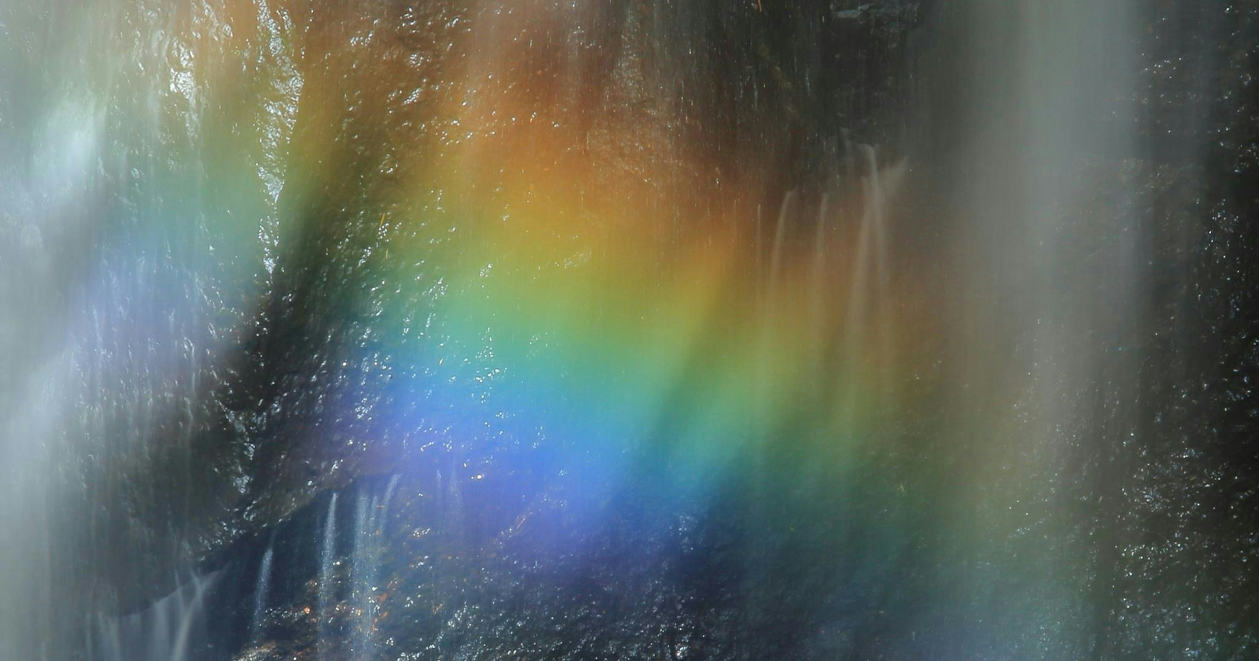 2026-05-in-the-rain-cover-image