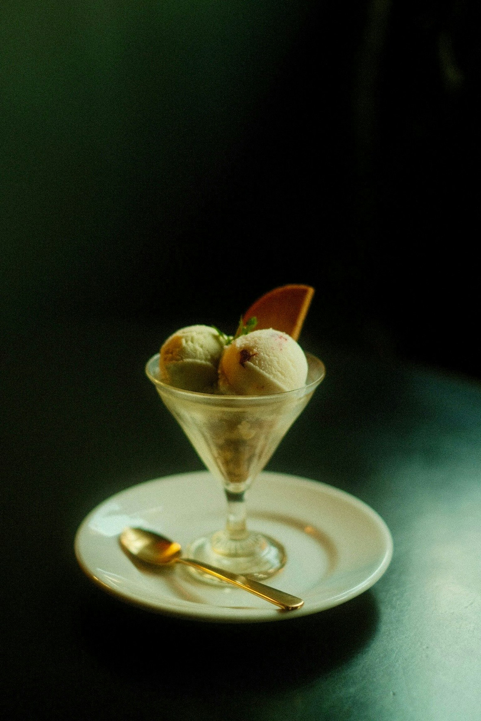 2025-11-tripod-photo-expression-image-12