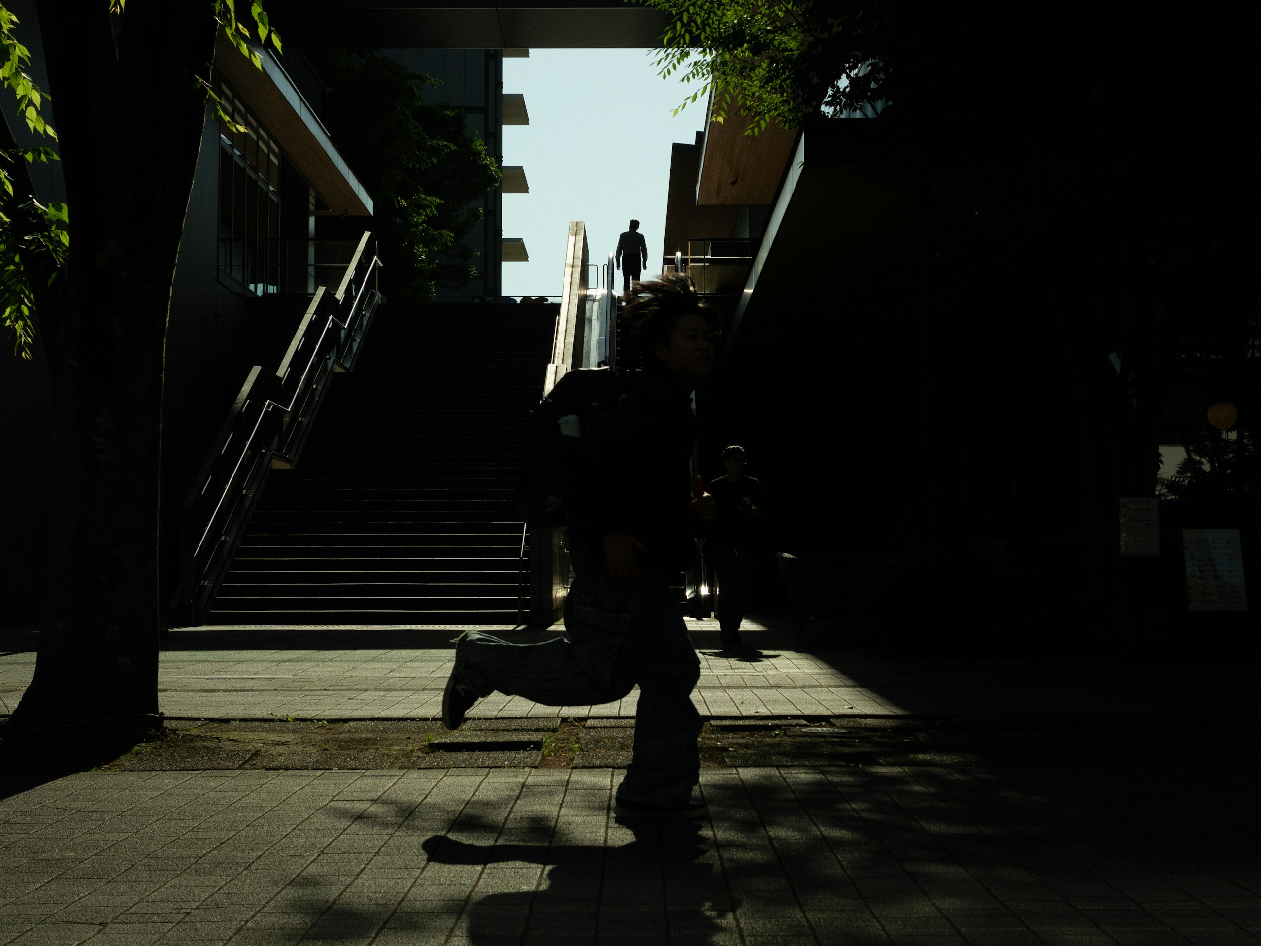 Image by Amo