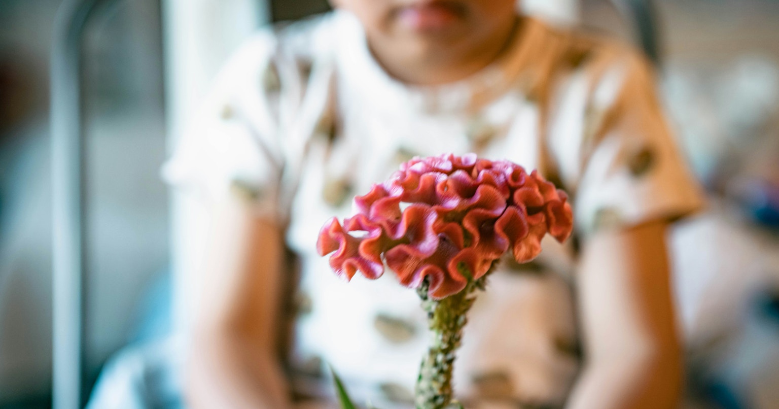 2024-12-capture-the-home-cover-image