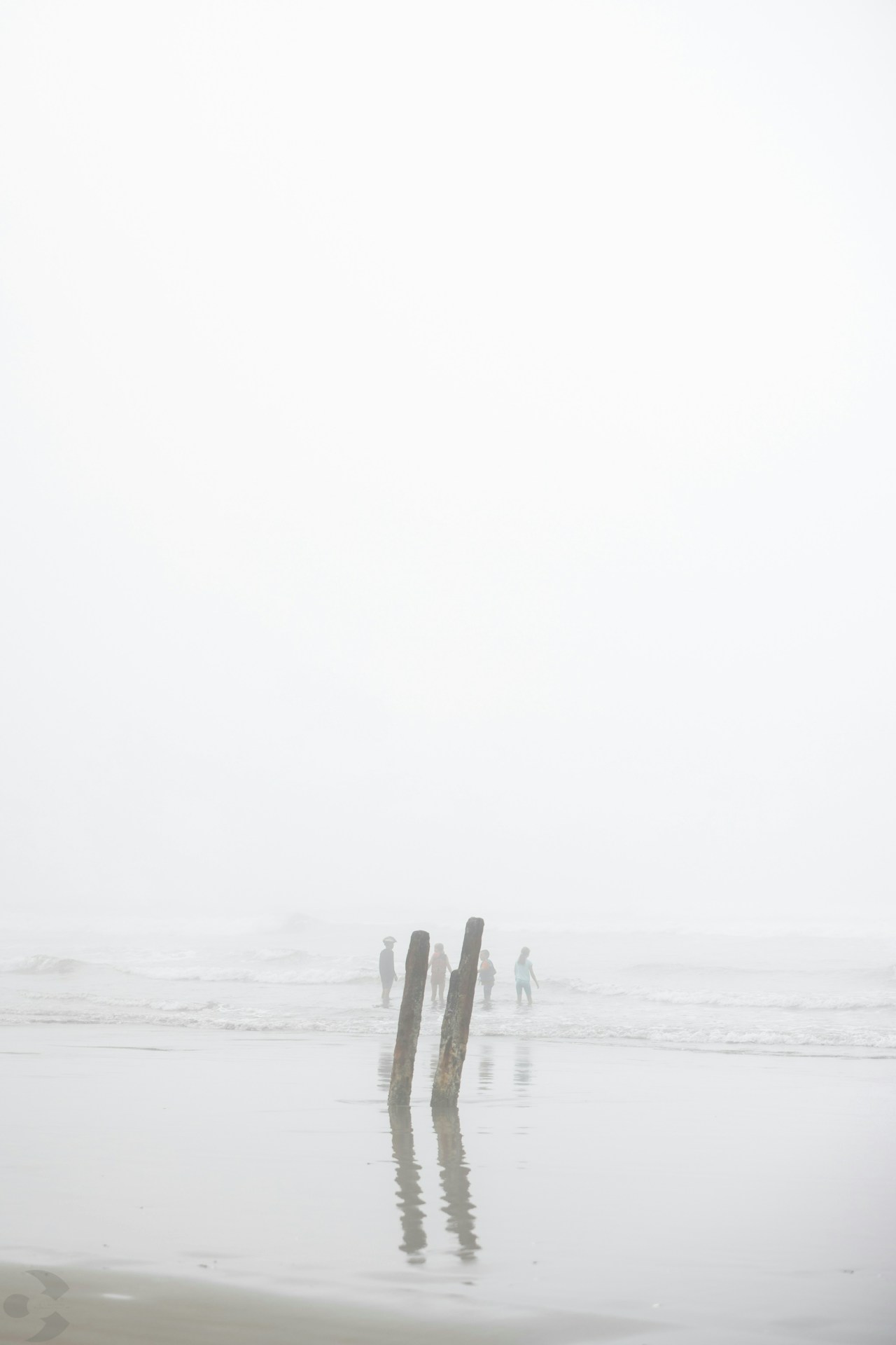 Photo by rockiepatch