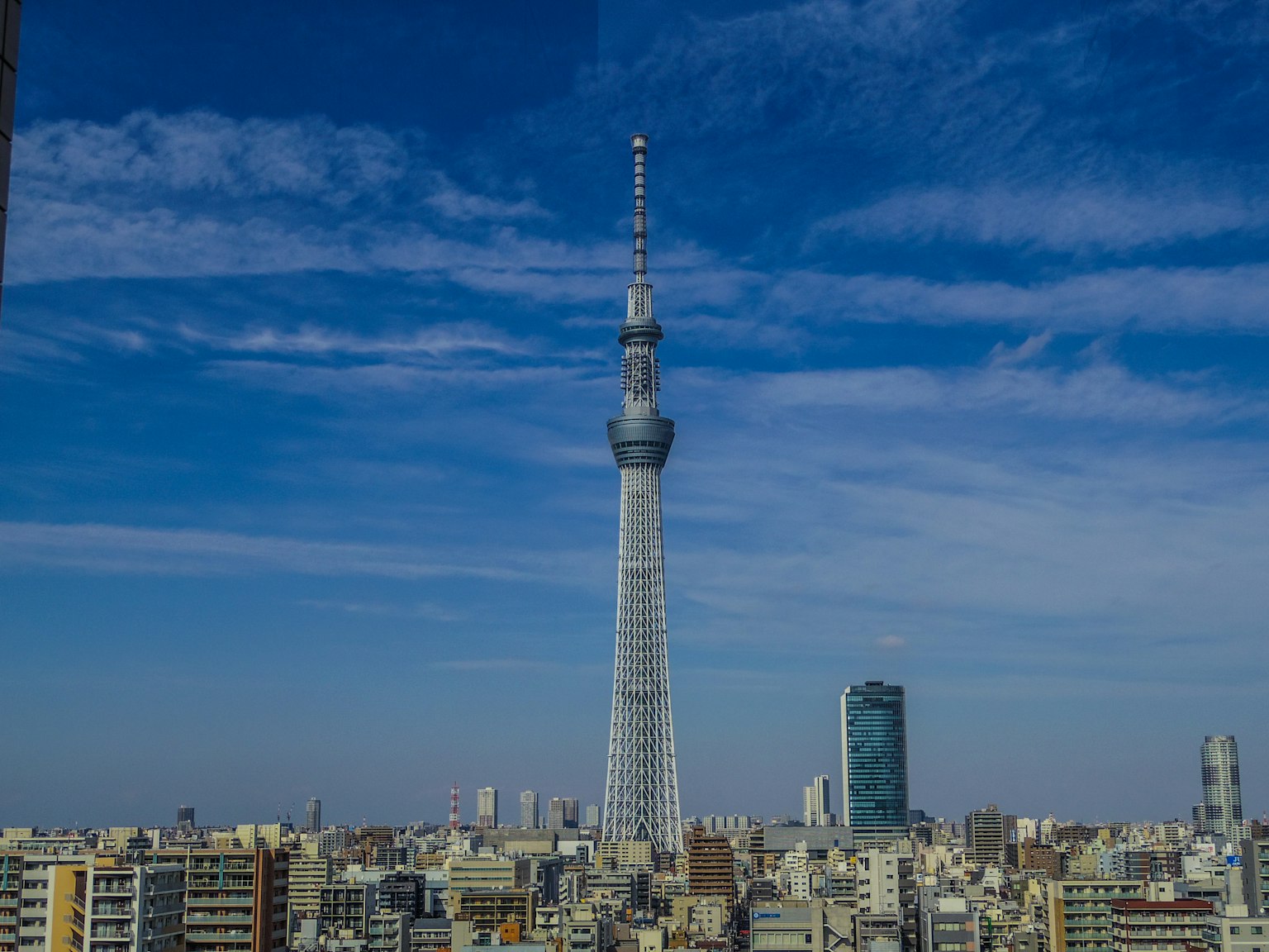 2024-02-skytree-image-4