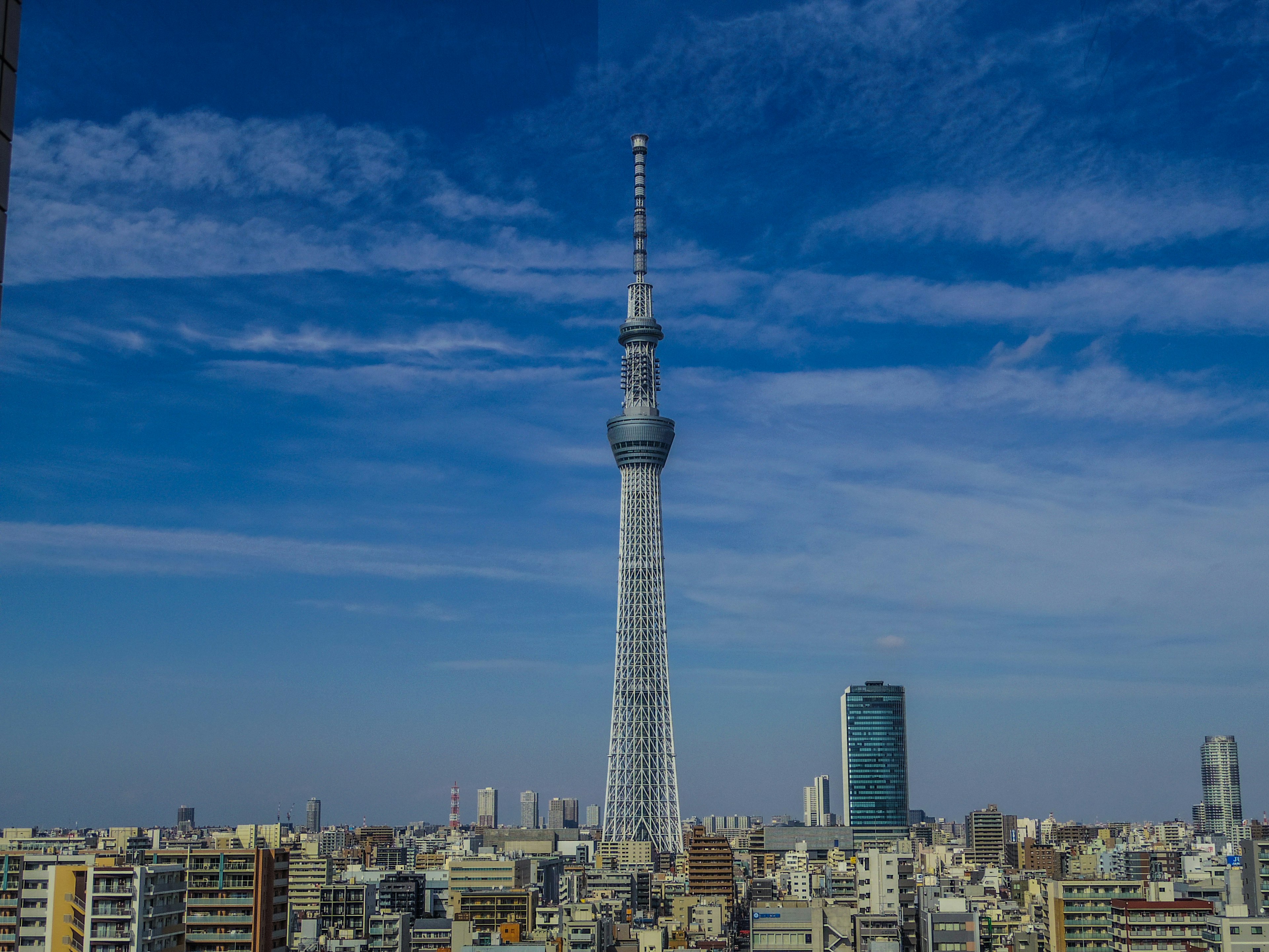 2024-02-skytree-image-4