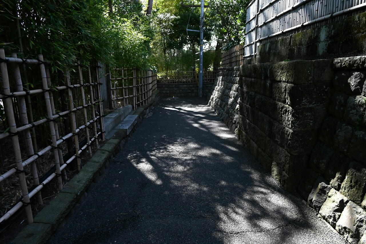 Photo by tamu1500