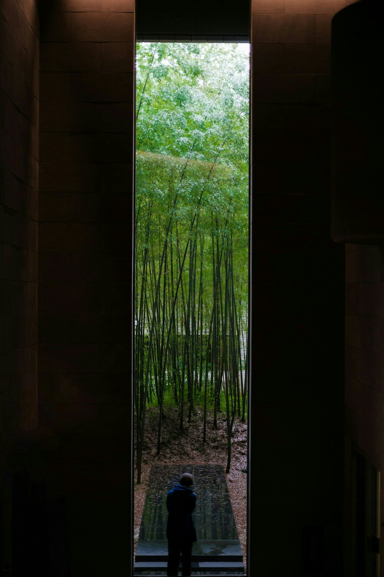 Photo by Takuya Yamaguchi