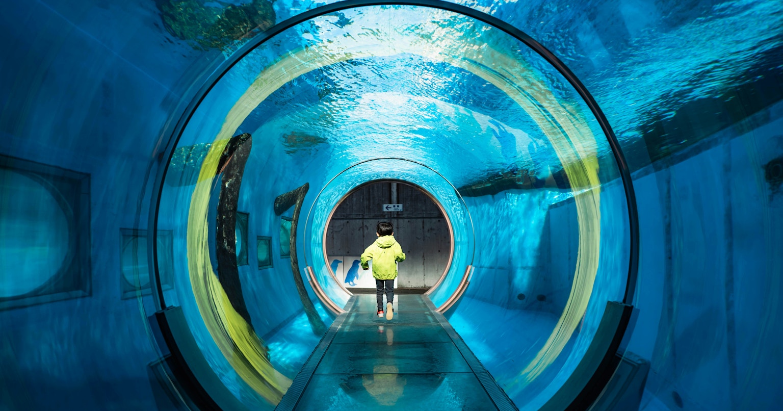 2025-01-living-tomorrow-cover-image