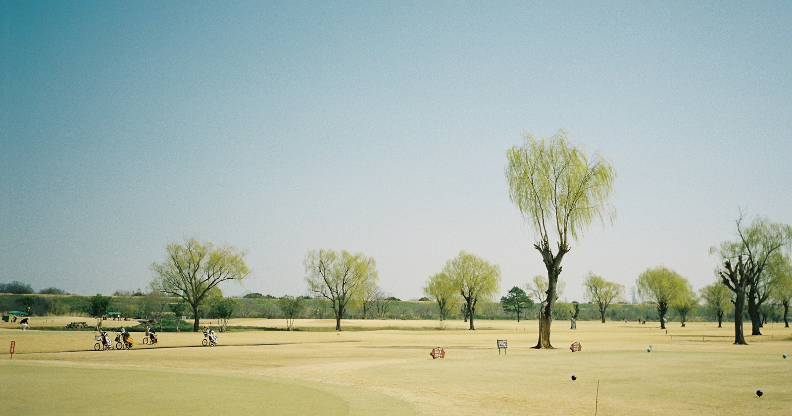 momo Speaks | For Those Who Want to Deepen Film Expression | CONTAX T2 | Knowledge #333