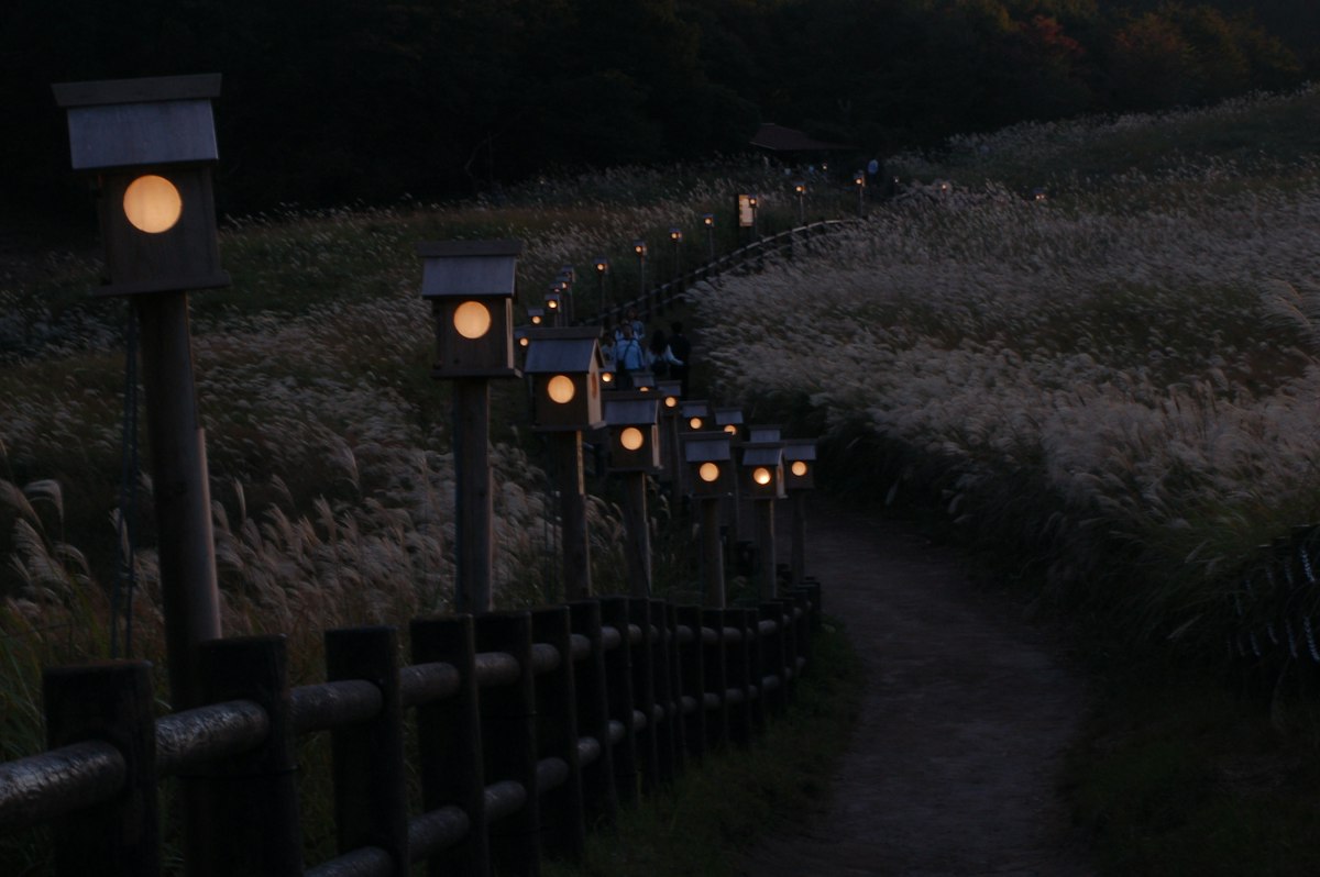 Foto di amebiyori