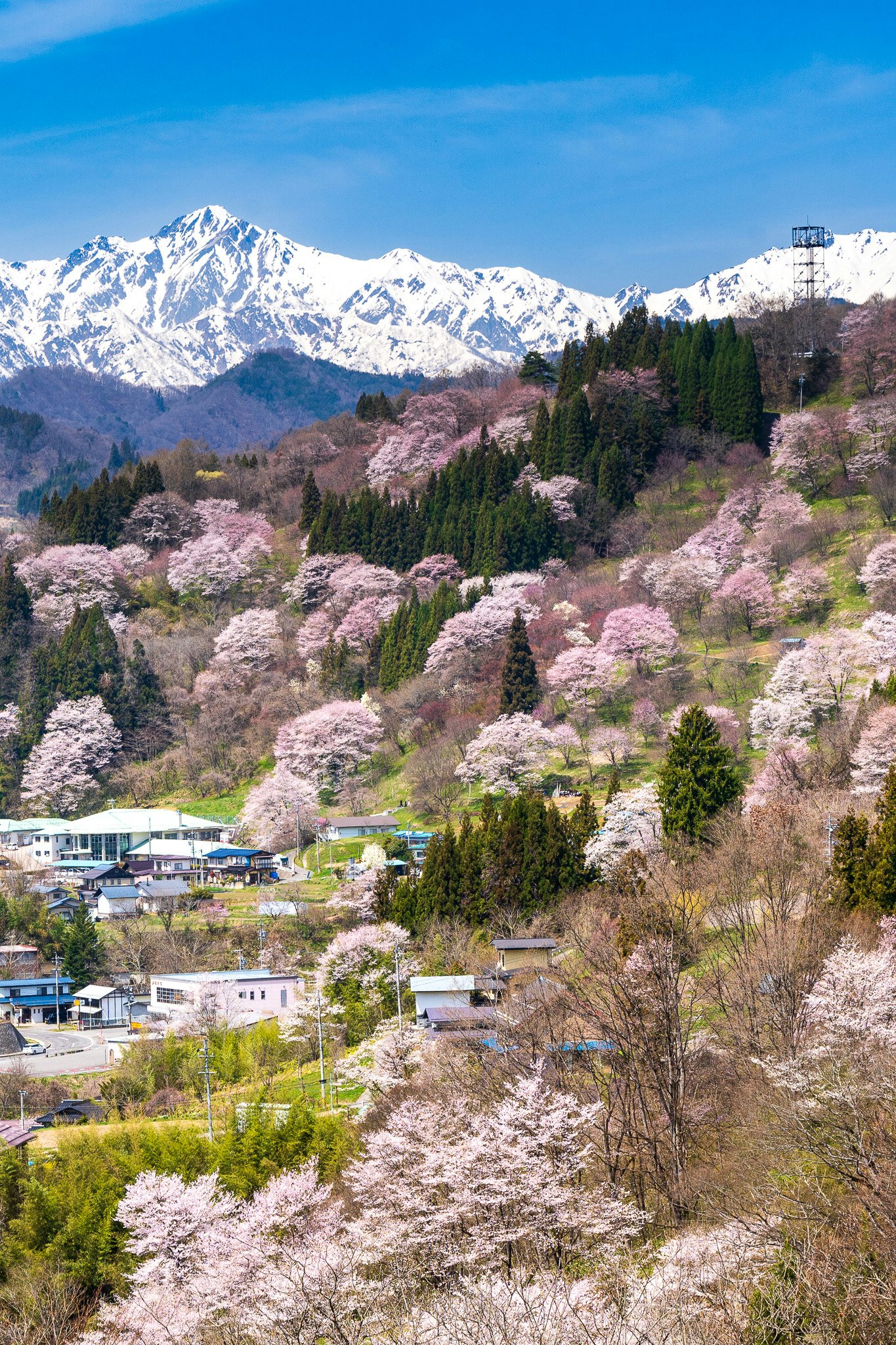 2024-06-spring-landscape-award-image-15