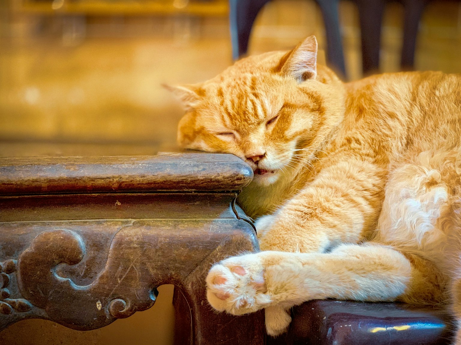 2025-06-may-diary-award-image-14