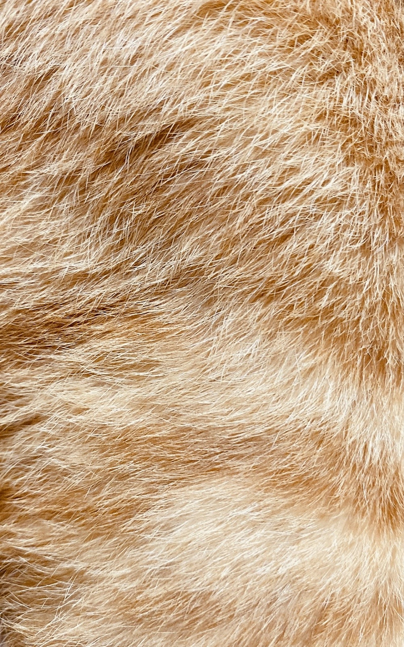2024-05-texture-photography-image-7