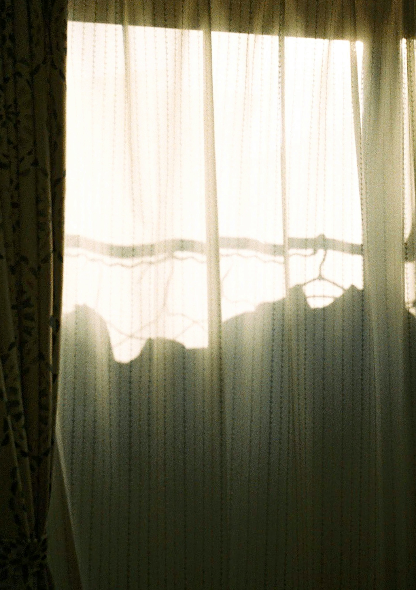 2026-01-pick-up-photos-no-274-278-cover-image