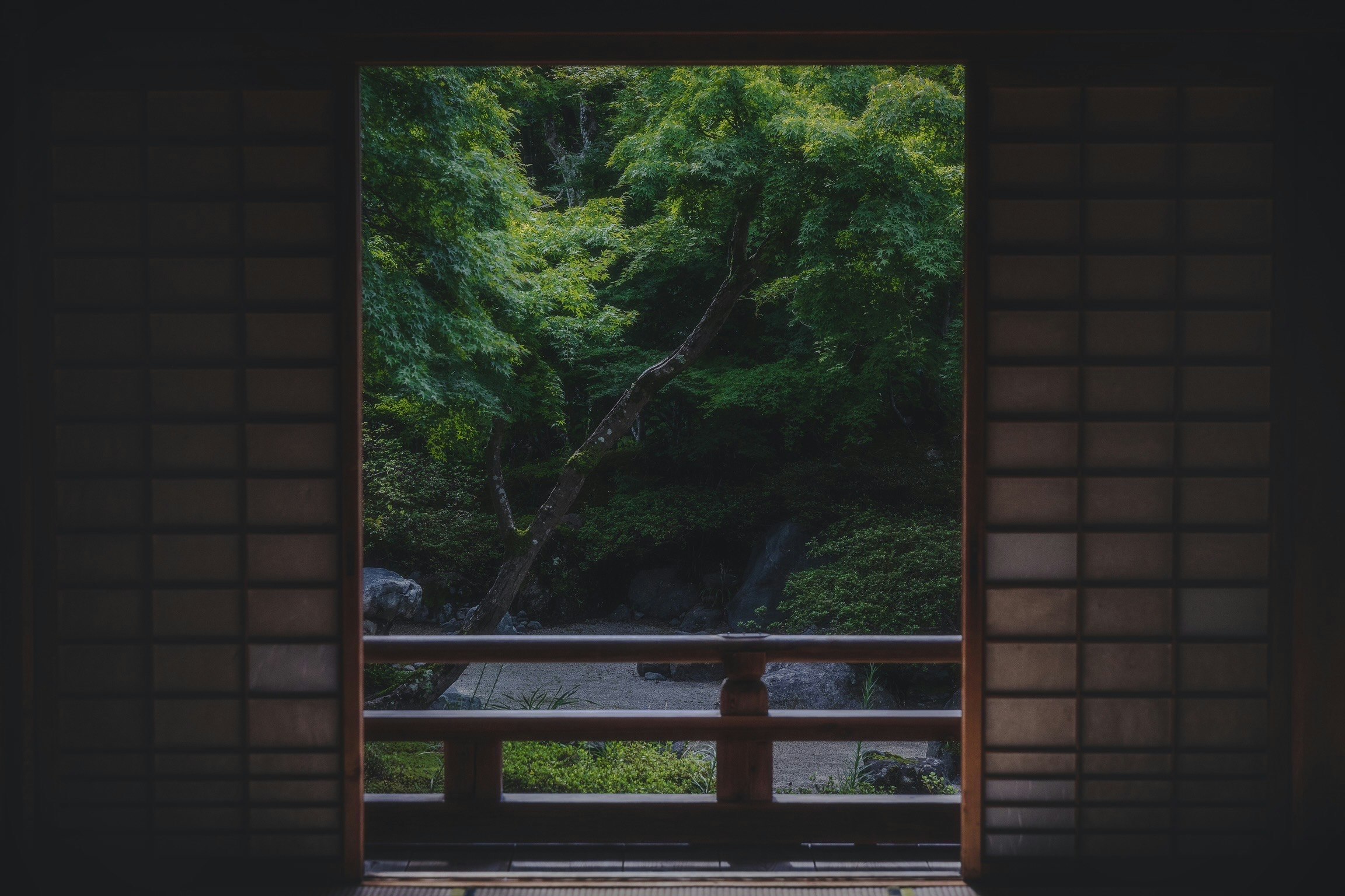 2025-11-sony-video-authenticity-cover-image