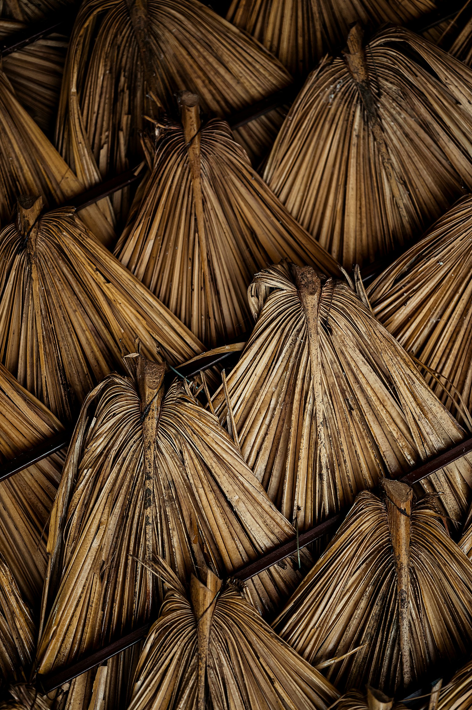 2024-05-texture-of-photo-image-15