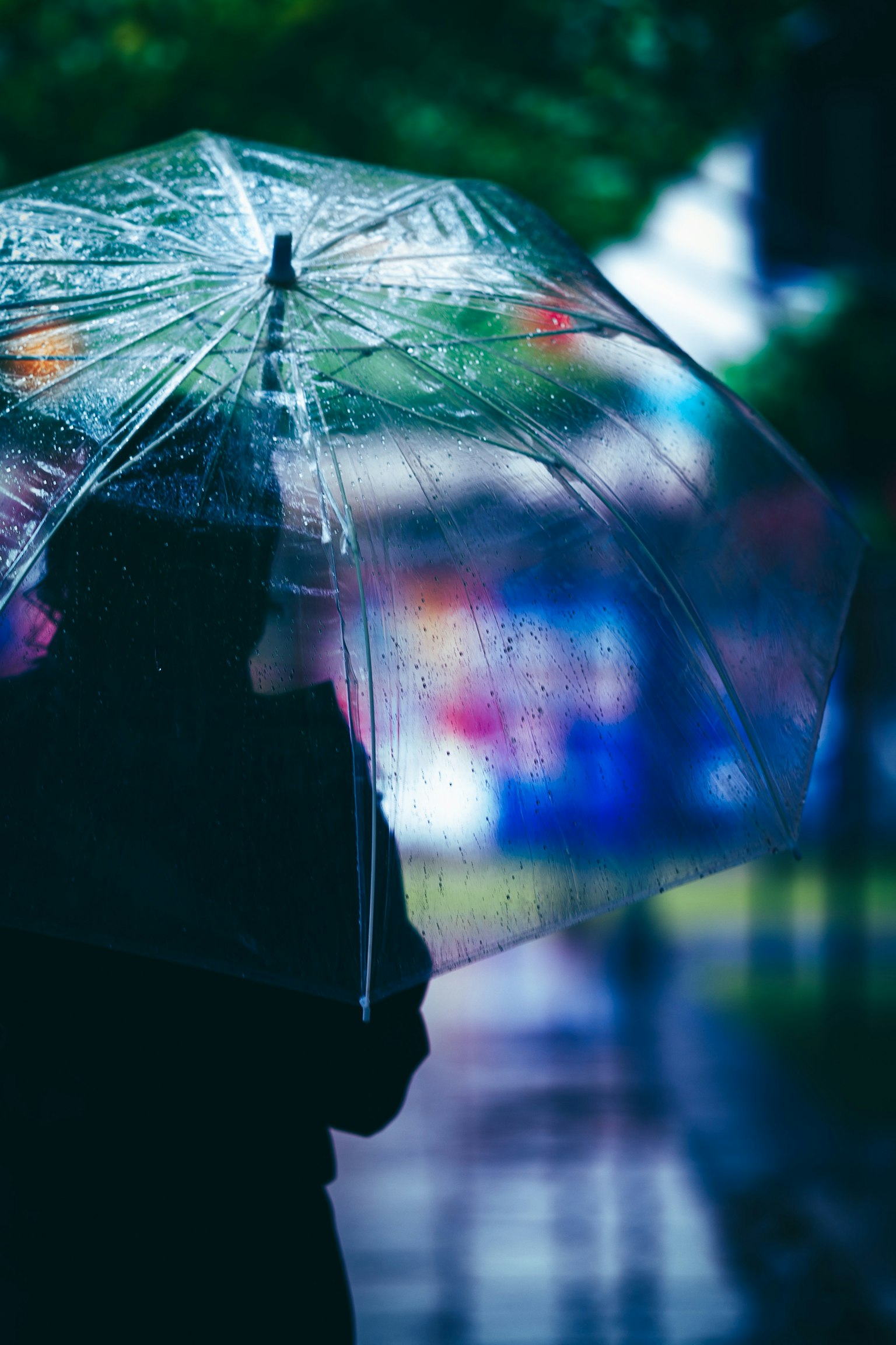 2024-06-rainy-days-in-photography-image-16