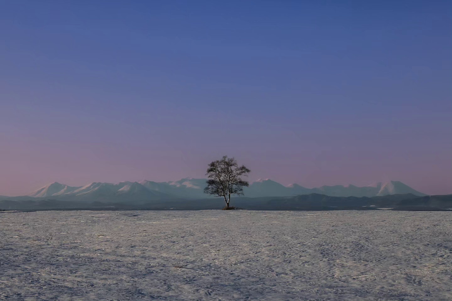 2024-03-frozen-sky-image-6