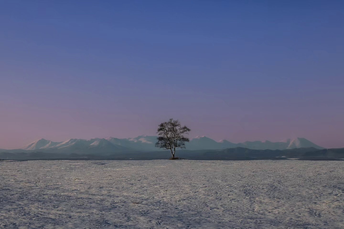 2024-03-frozen-sky-image-6