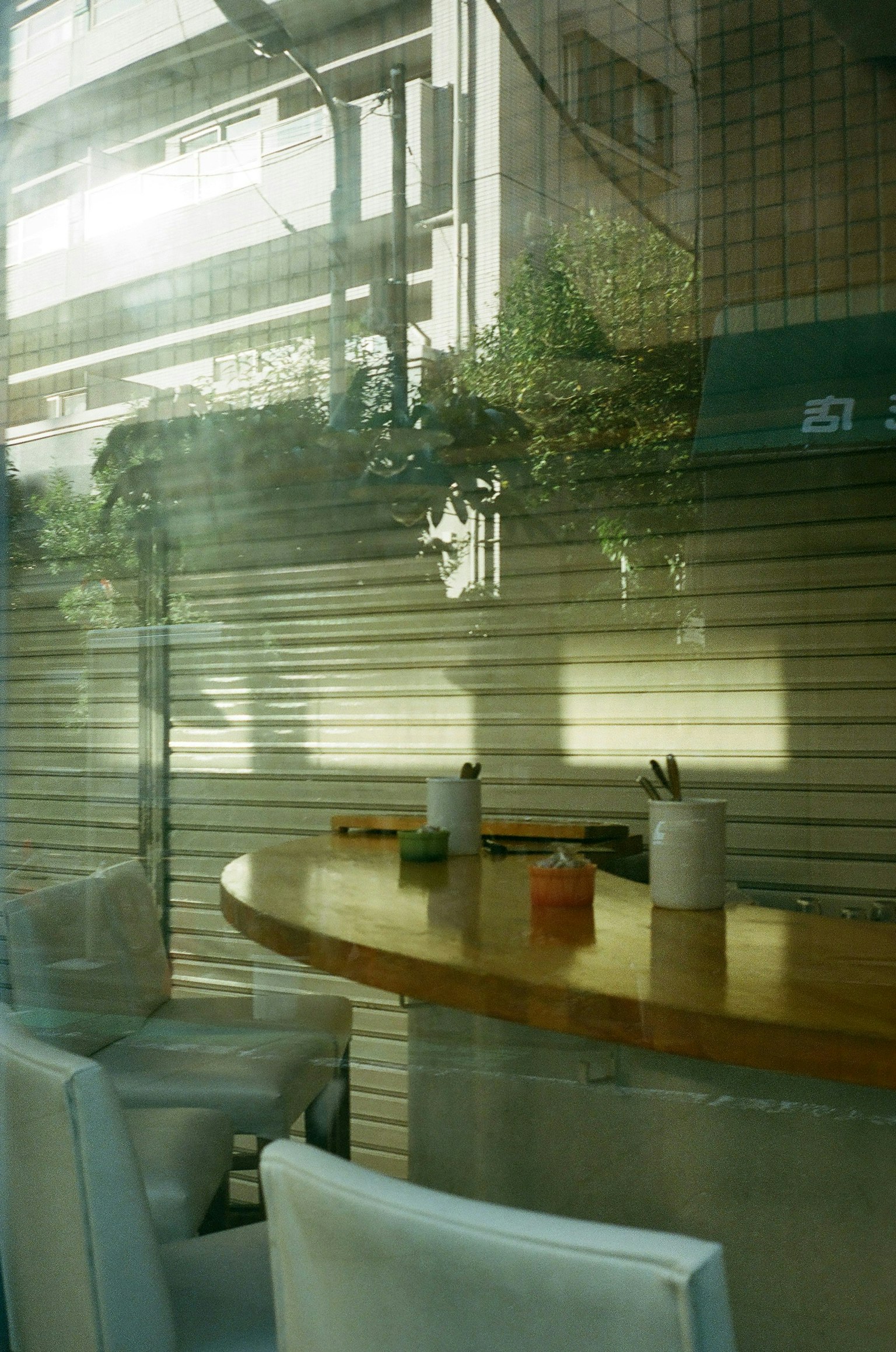2025-09-contax-t2-portra800-expression-momo-image-10