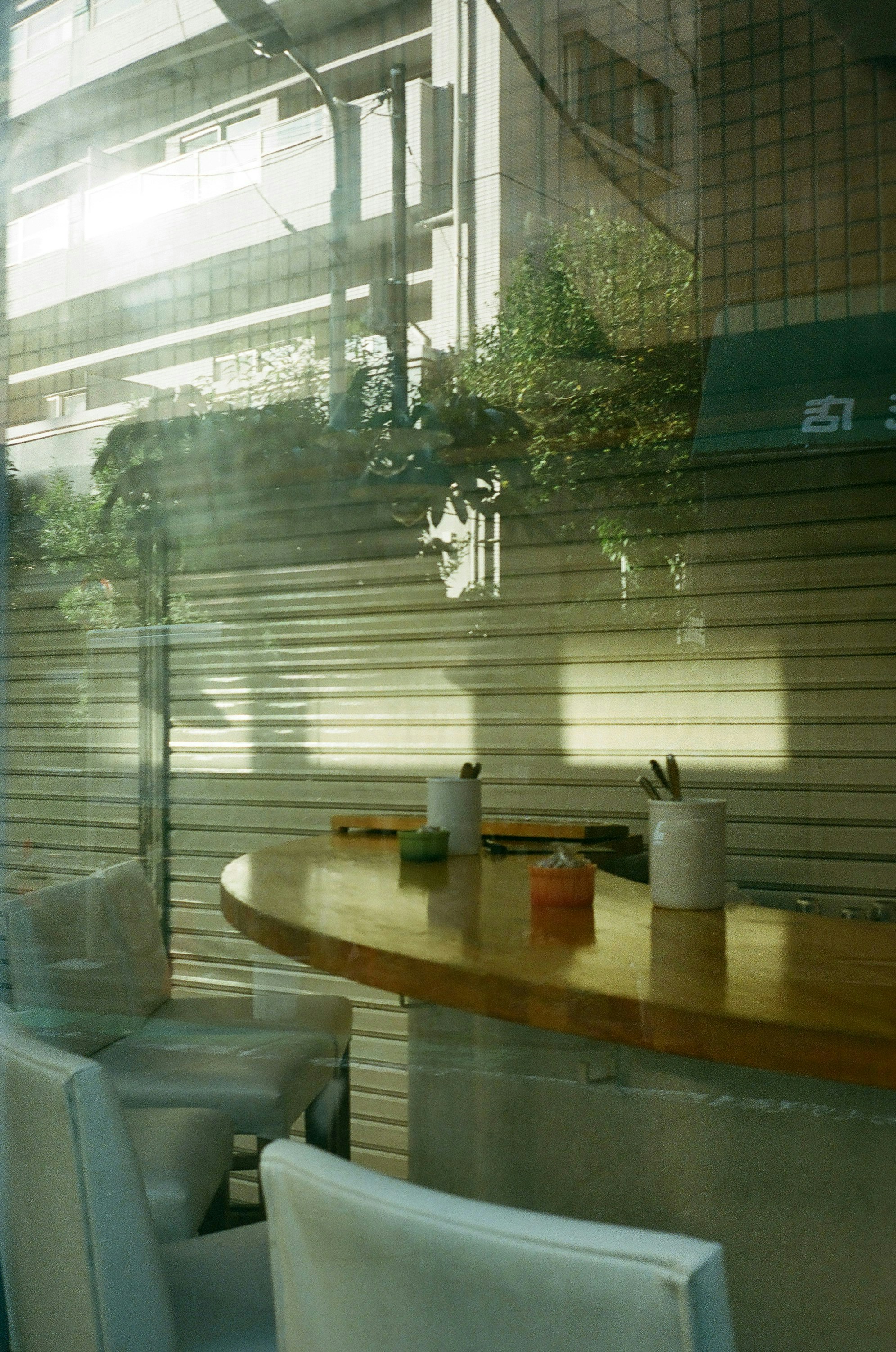 2025-09-contax-t2-portra800-expression-momo-image-10