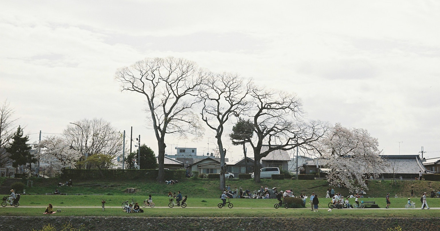 2024-06-film-shop-recommendation-cover-image