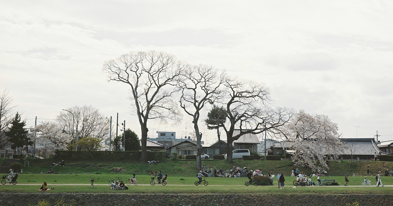 2024-06-film-shop-recommendation-cover-image
