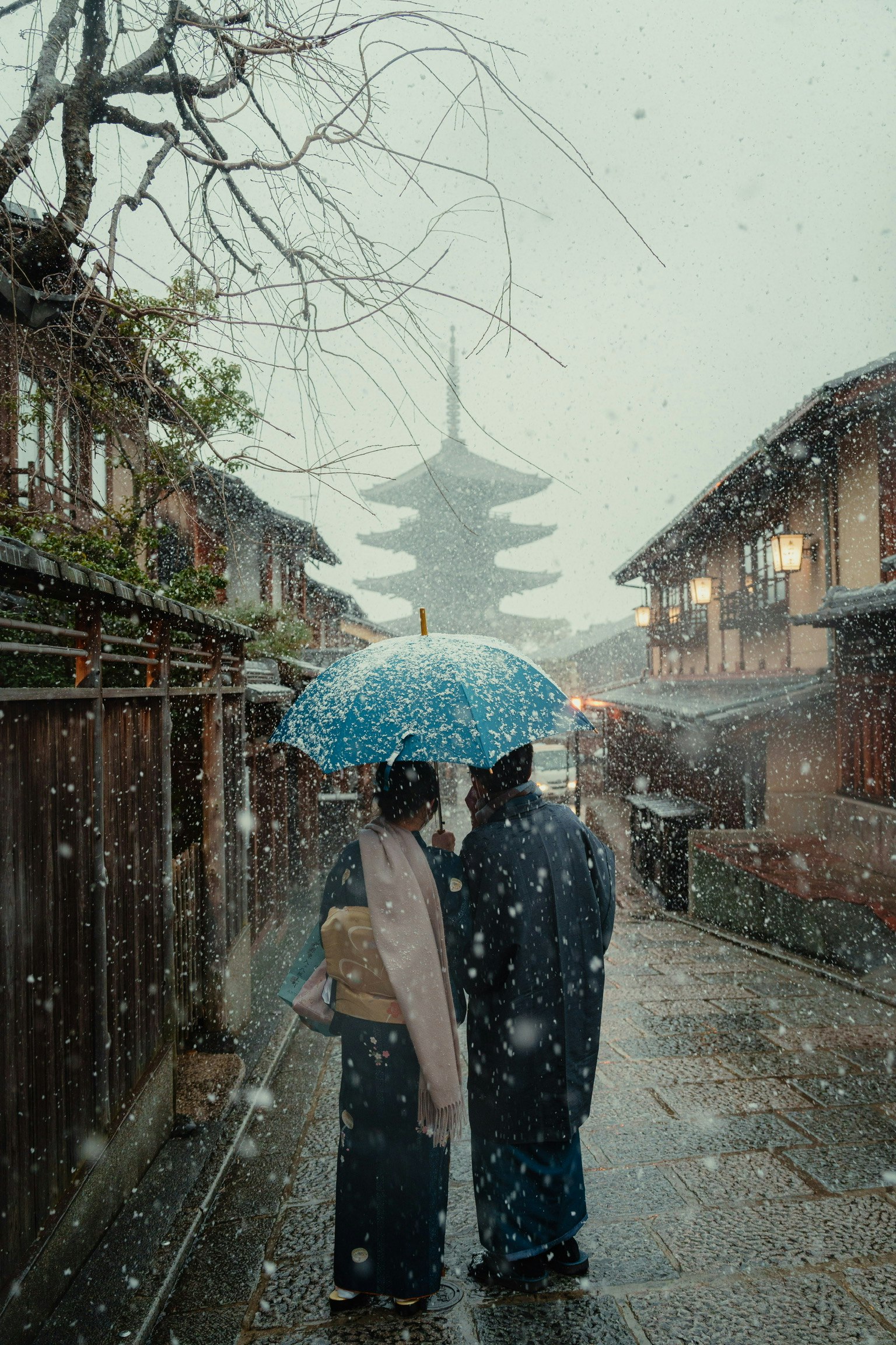 2025-12-ppp-in-kyoto-cover-image