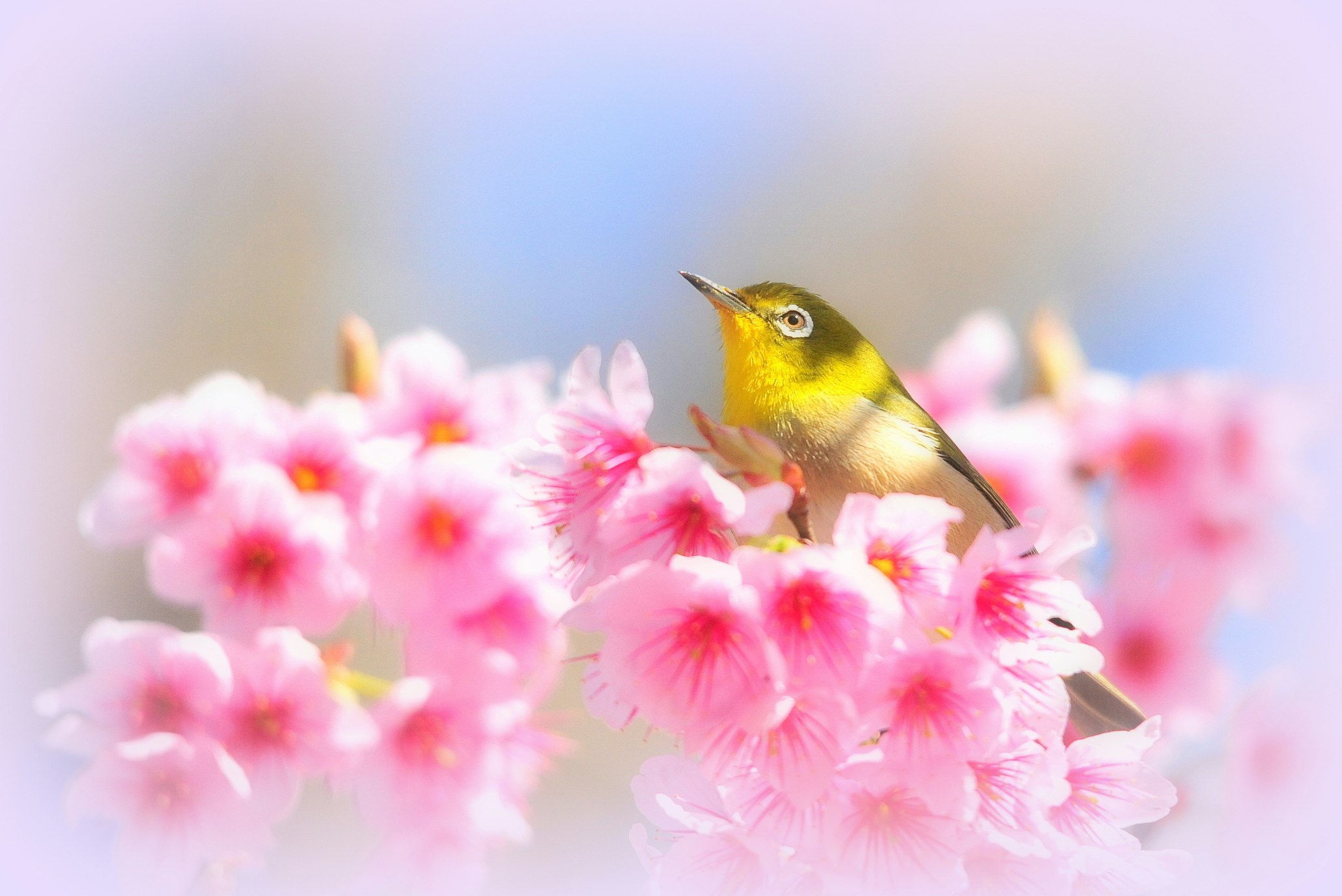 2026-03-pick-up-photos-no-315-319-cover-image