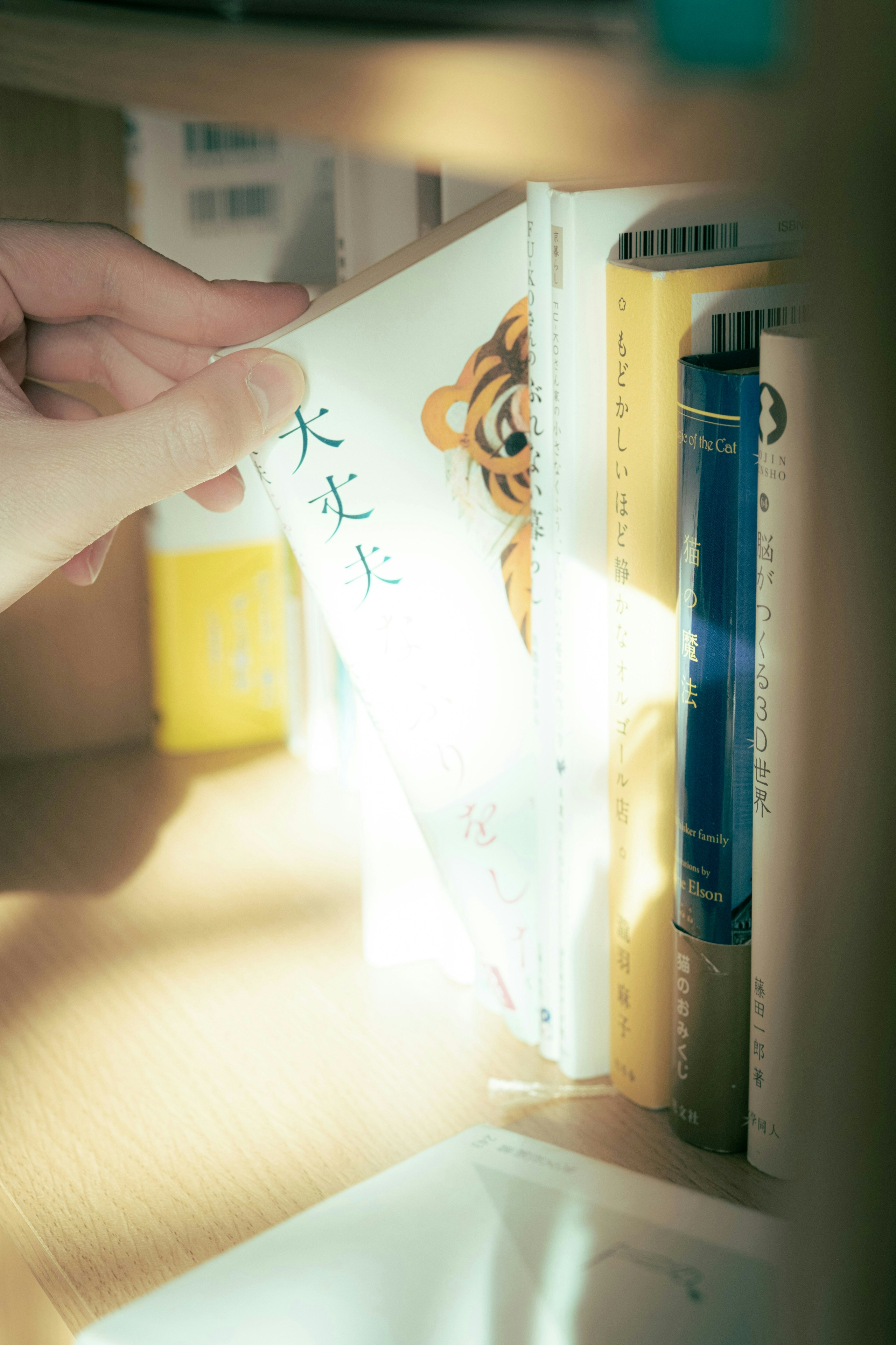2024-12-your-reading-moments-award-image-10