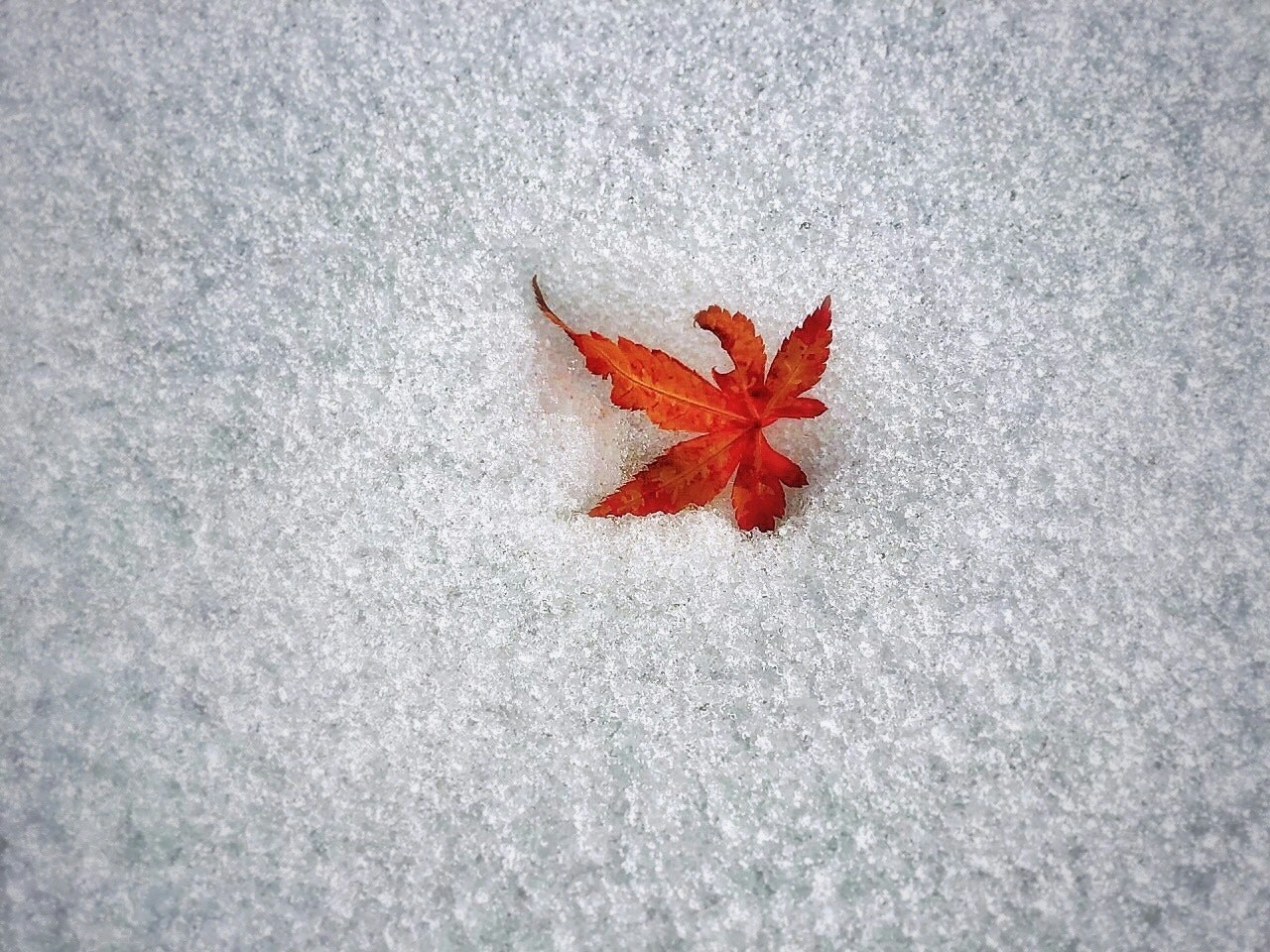Photo by ユウ3850